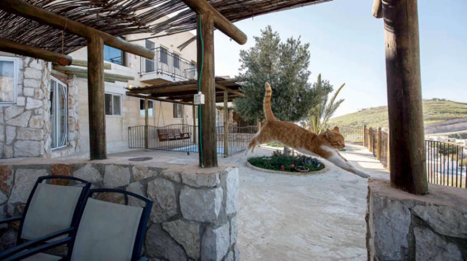 فندق في مستوطنة نوفي برات في الضفة روج له موقع (إير بي إن بي) (أ.ب)