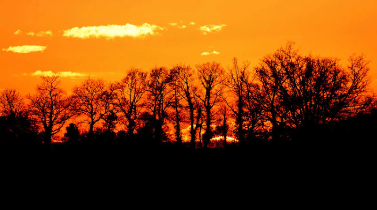 غوتيريش يتساءل: هل يمكن لأحد أن ينكر أننا نواجه وضعاً طارئاً للغاية (أ.ف.ب)