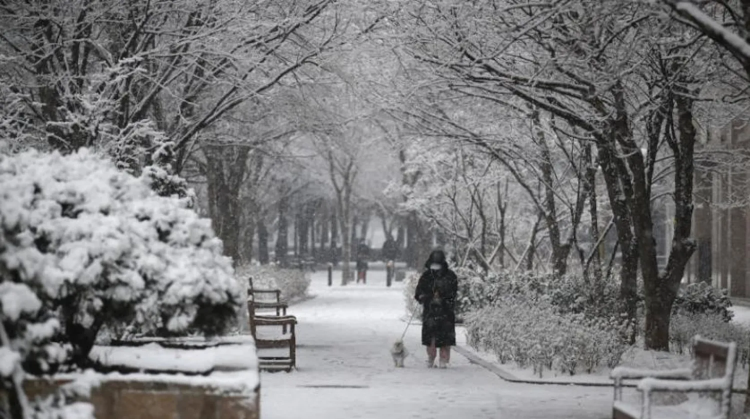 Güney Kore’nin Goyang şehrinde sokakta maskeyle gezen bir kişi (AP)
