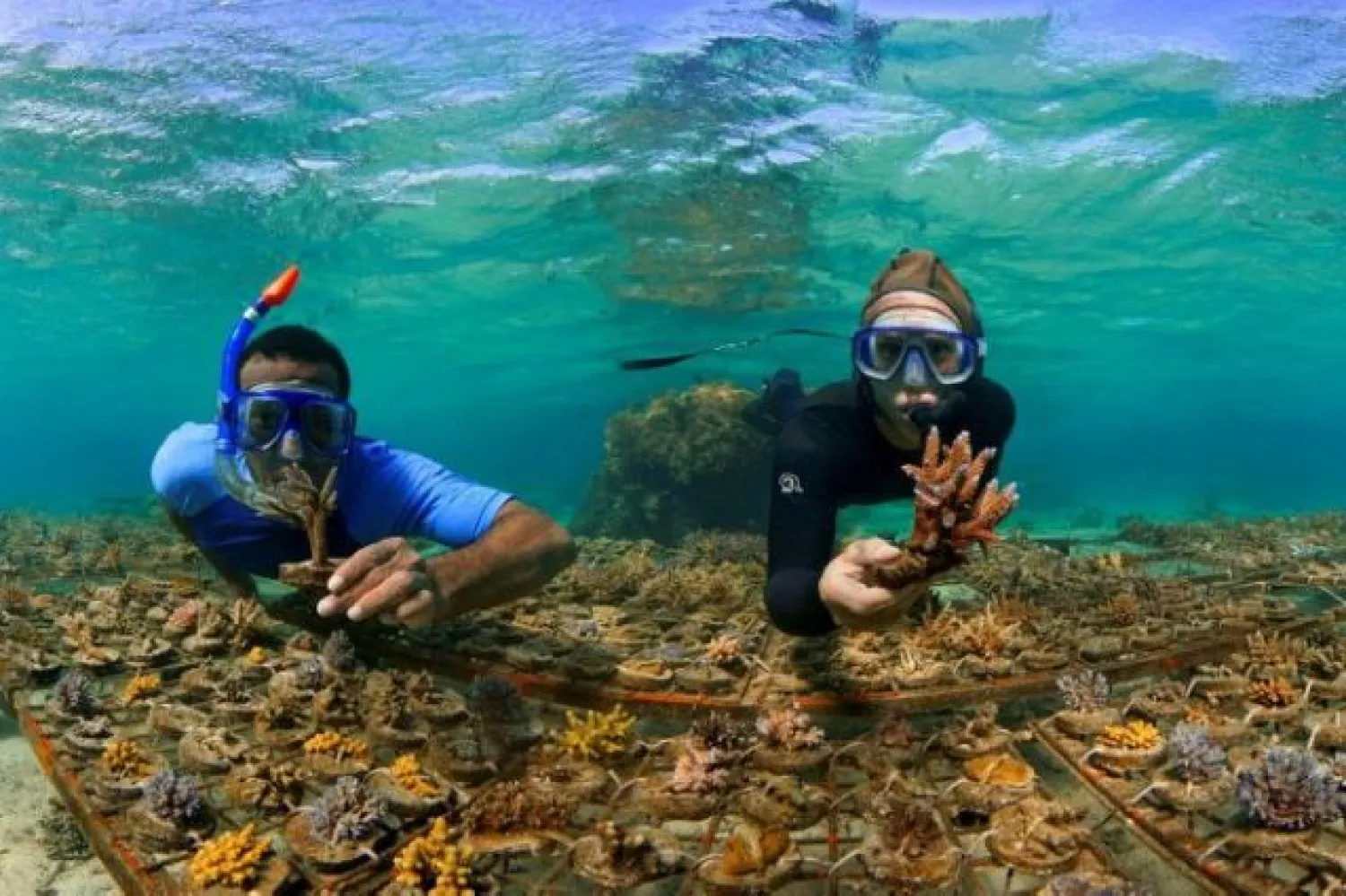 Workers on Fiji's Coral Coast say tourism has "all but evaporated" because of coronavirus | AFP