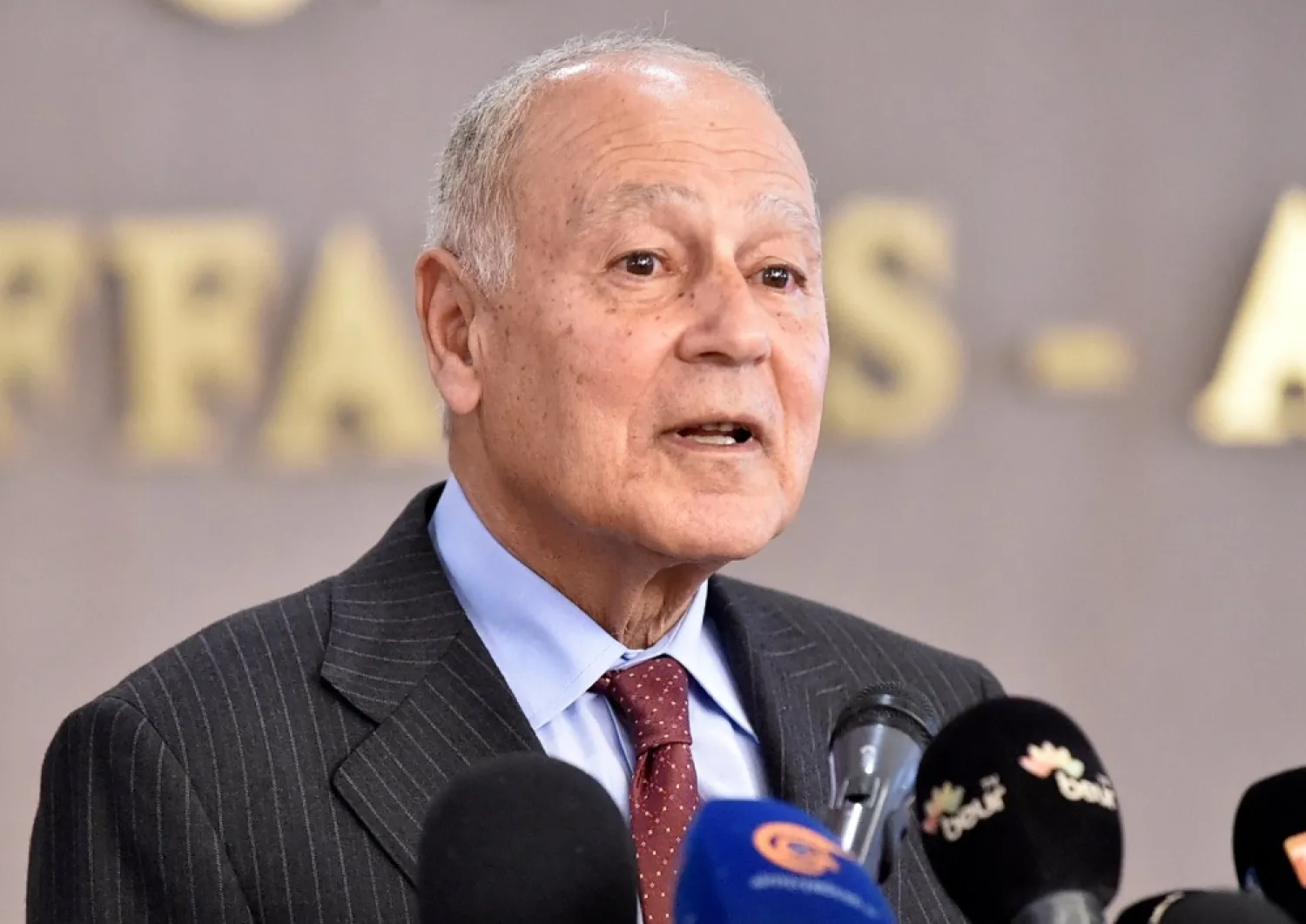 Arab League Secretary General Ahmed Aboul Gheit speaks during a press conference on Feb. 29, 2020. (AFP)