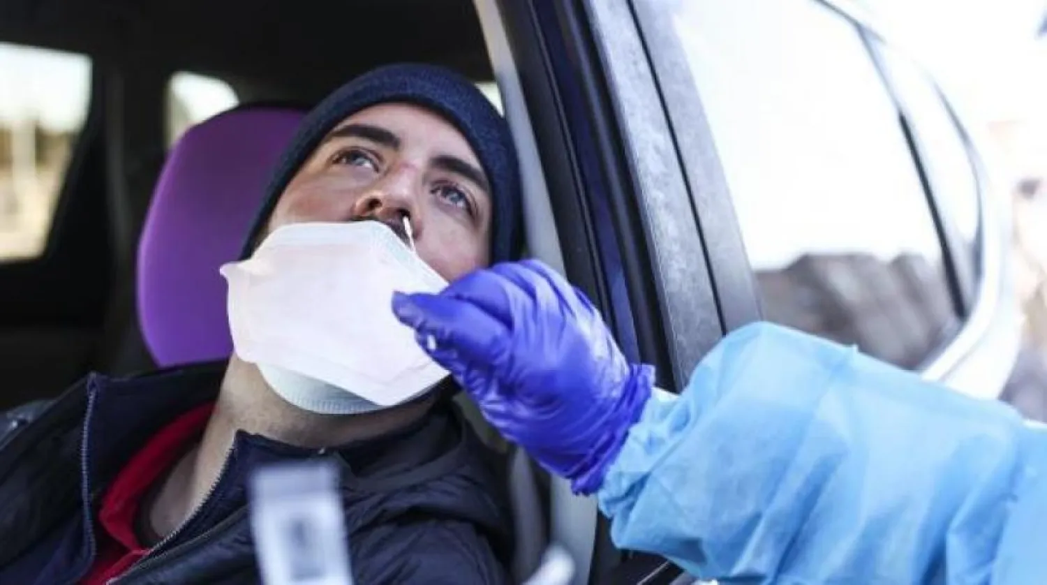 Colorado, California ve Florida eyaletleriden mutasyona uğramış yeni tür keşfedildi (AFP) 