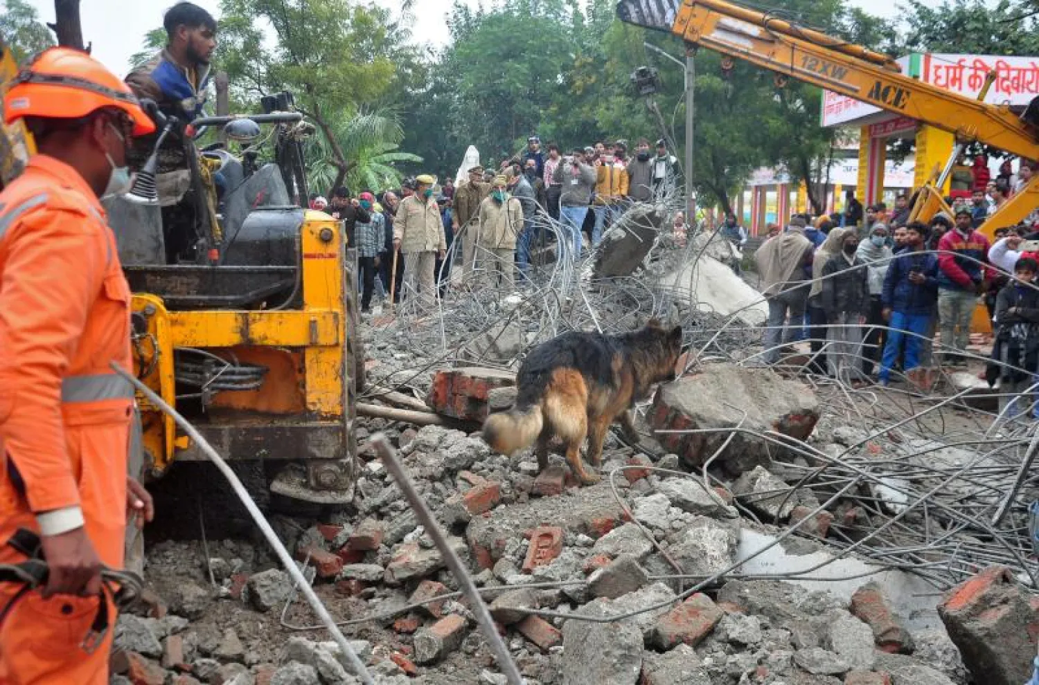 الكلاب البوليسية في موقع الانهيار (رويترز)