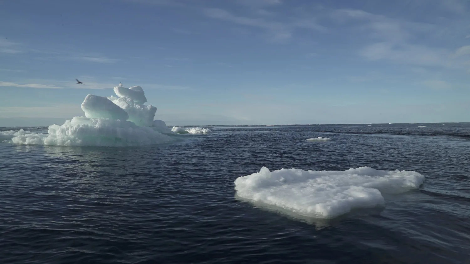 Floating ice is seen during the expedition of Greenpeace's Arctic Sunrise ship at the Arctic Ocean, September 14, 2020. (REUTERS Photo)