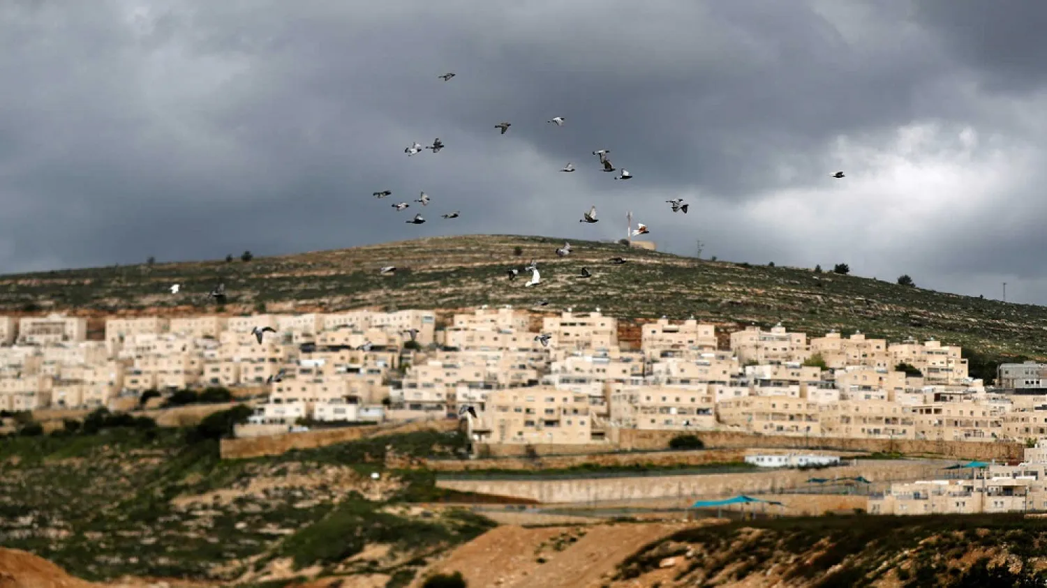 Birds fly as the Israeli settlement of Ramat Givat Zeev is seen, in the West Bank, March 19, 2020. (Reuters)