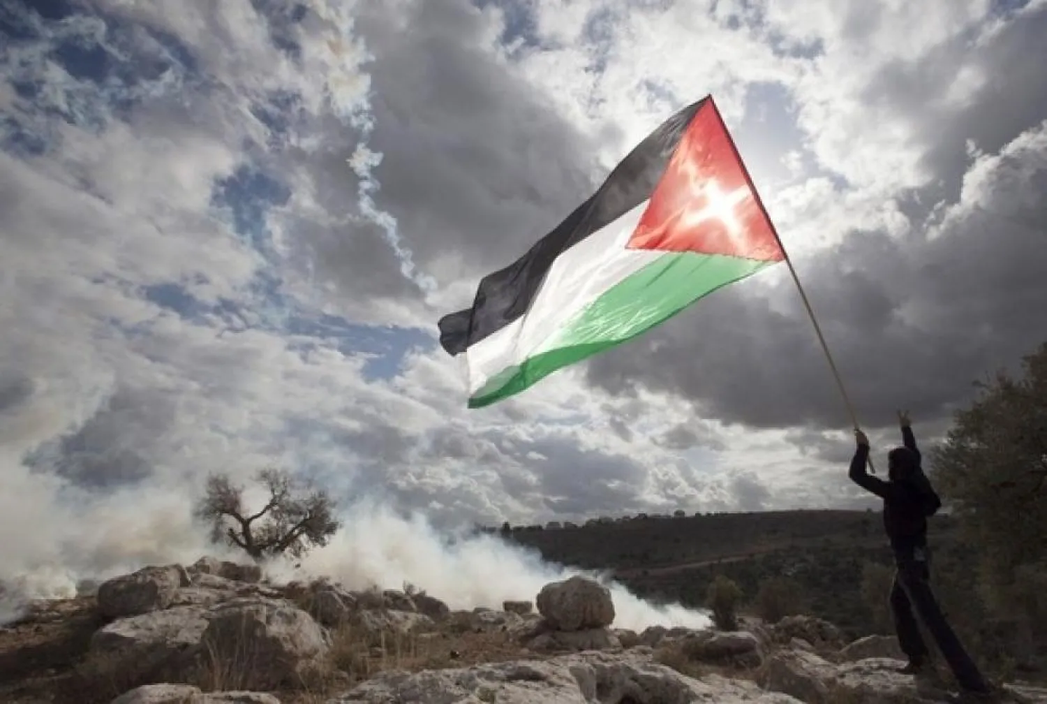 A Palestinian boy waves a flag in the West Bank. (Reuters file photo)