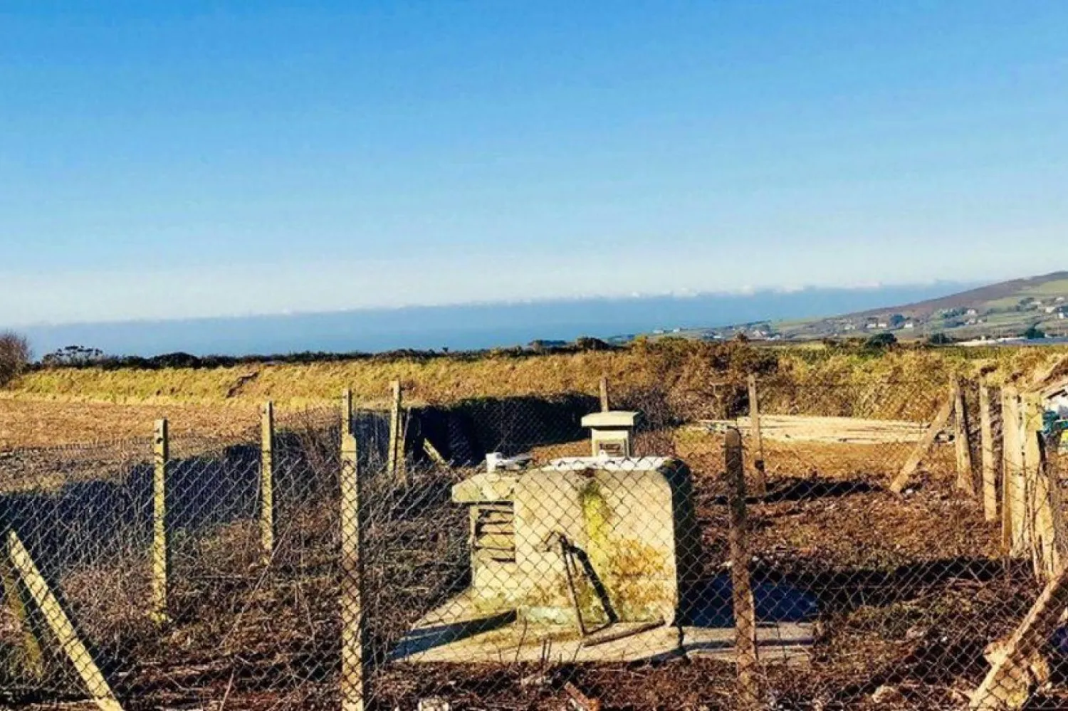 Açık artırma 18 Şubat’ta internet üzerinden gerçekleşecek (The Auction House)