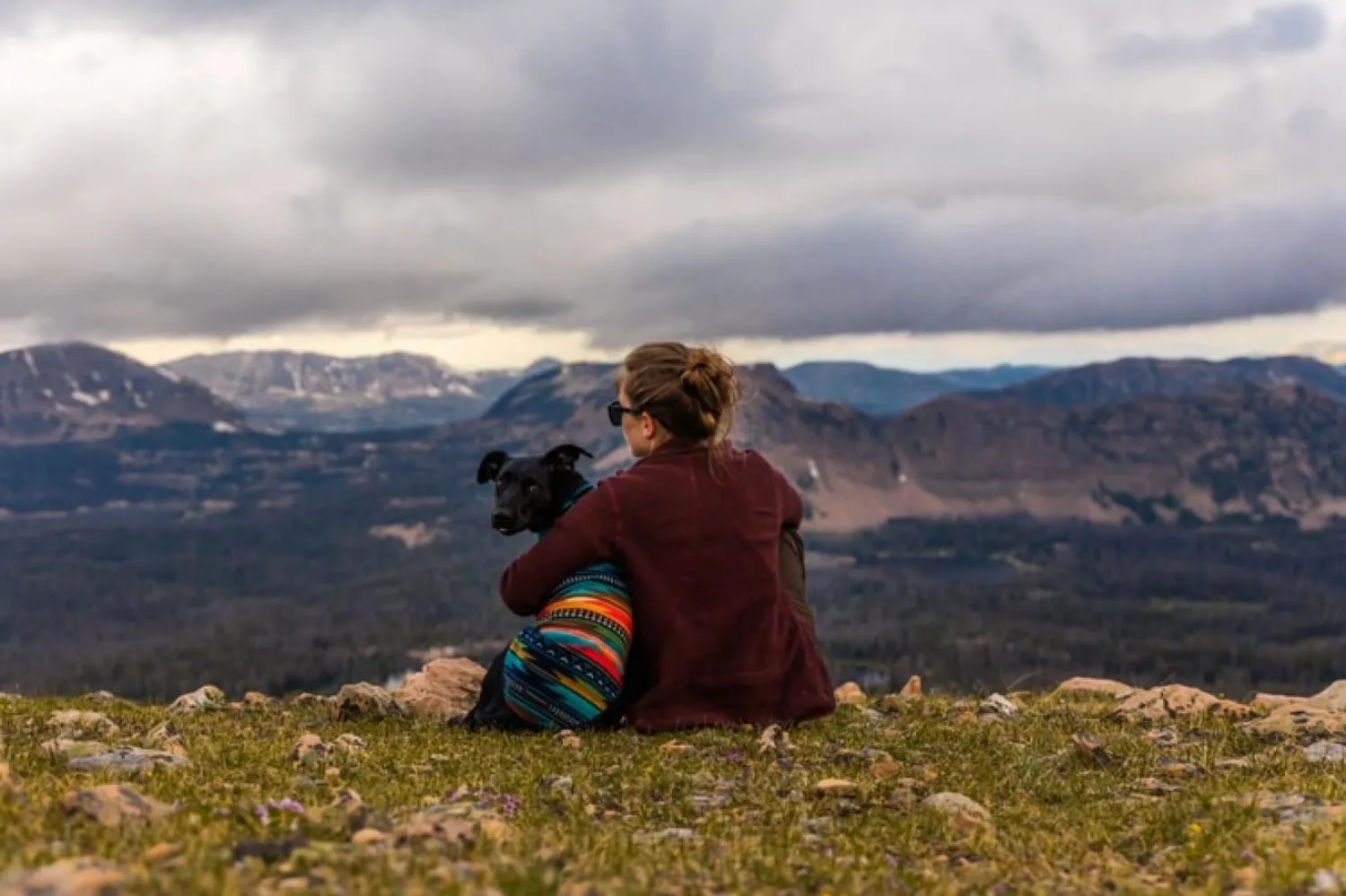 Bulgulara göre insanın yakın dostu, aslında kadınların dostuydu (Unsplash)