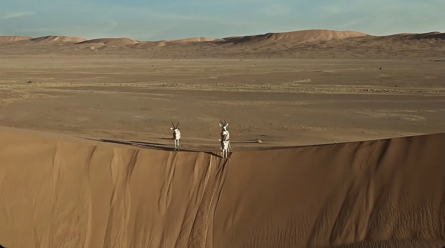 The Saudi Tourism Authority announced new packages to visit nature reserves. (Saudi Tourism Authority)