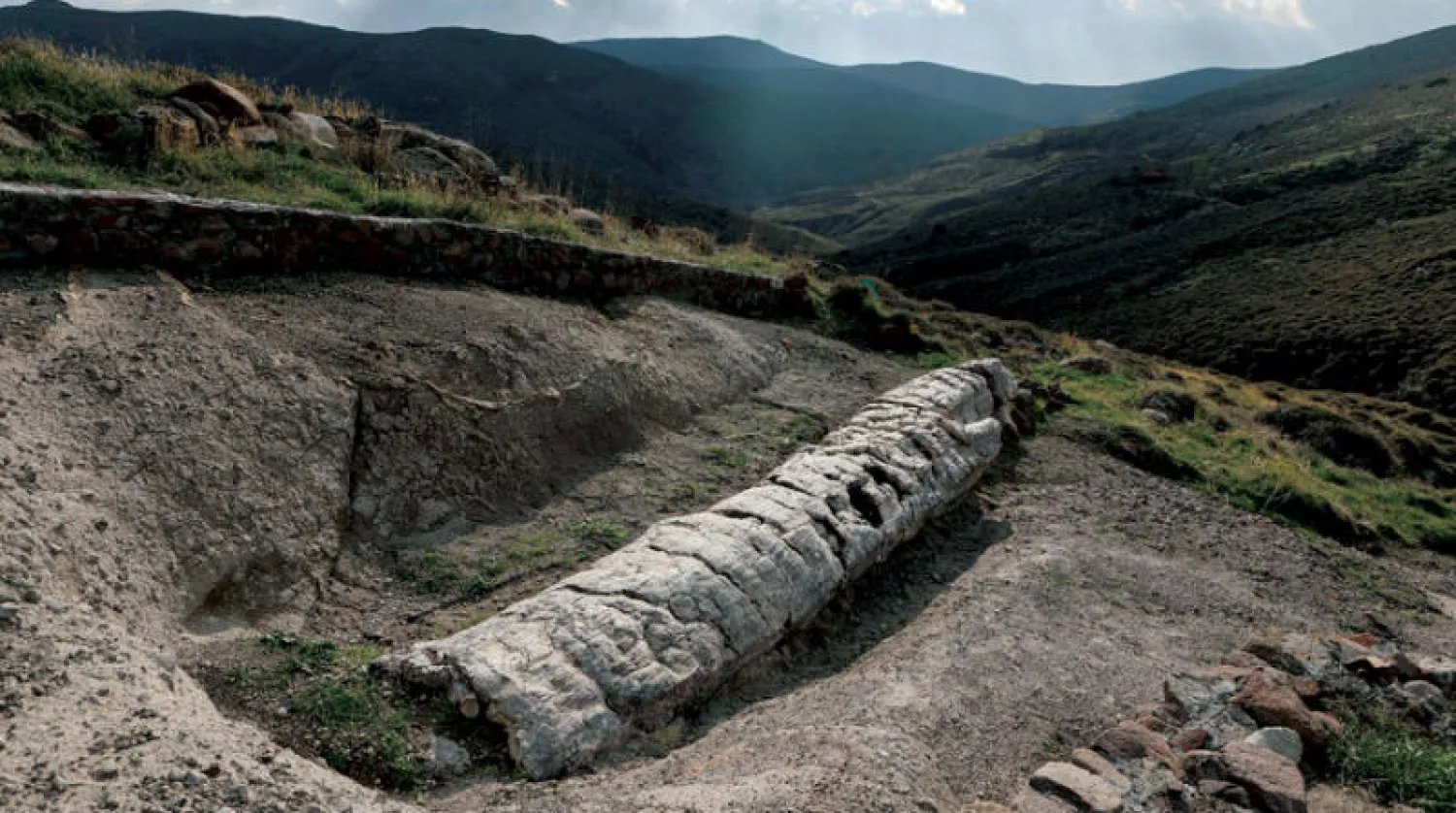 شجرة متحجرة في حديقة الغابة الوطنية باليونان (رويترز)