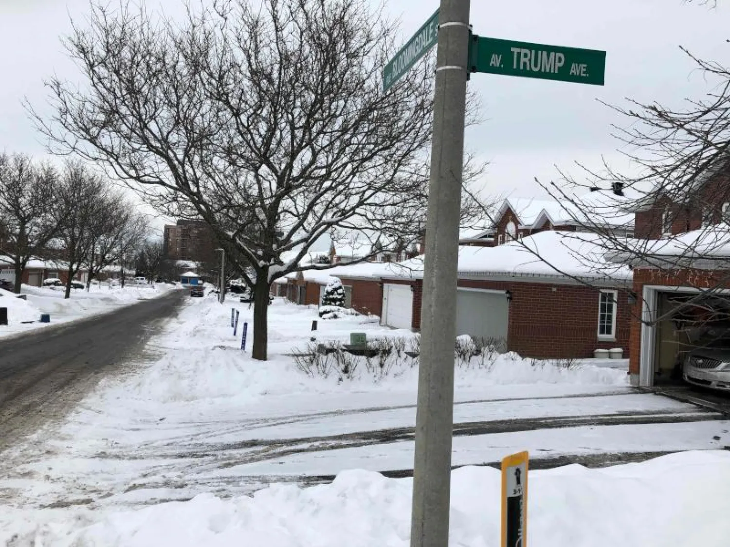 جادة ترمب الواقعة في ولاية أوتاوا الأميركية (أ.ف.ب)