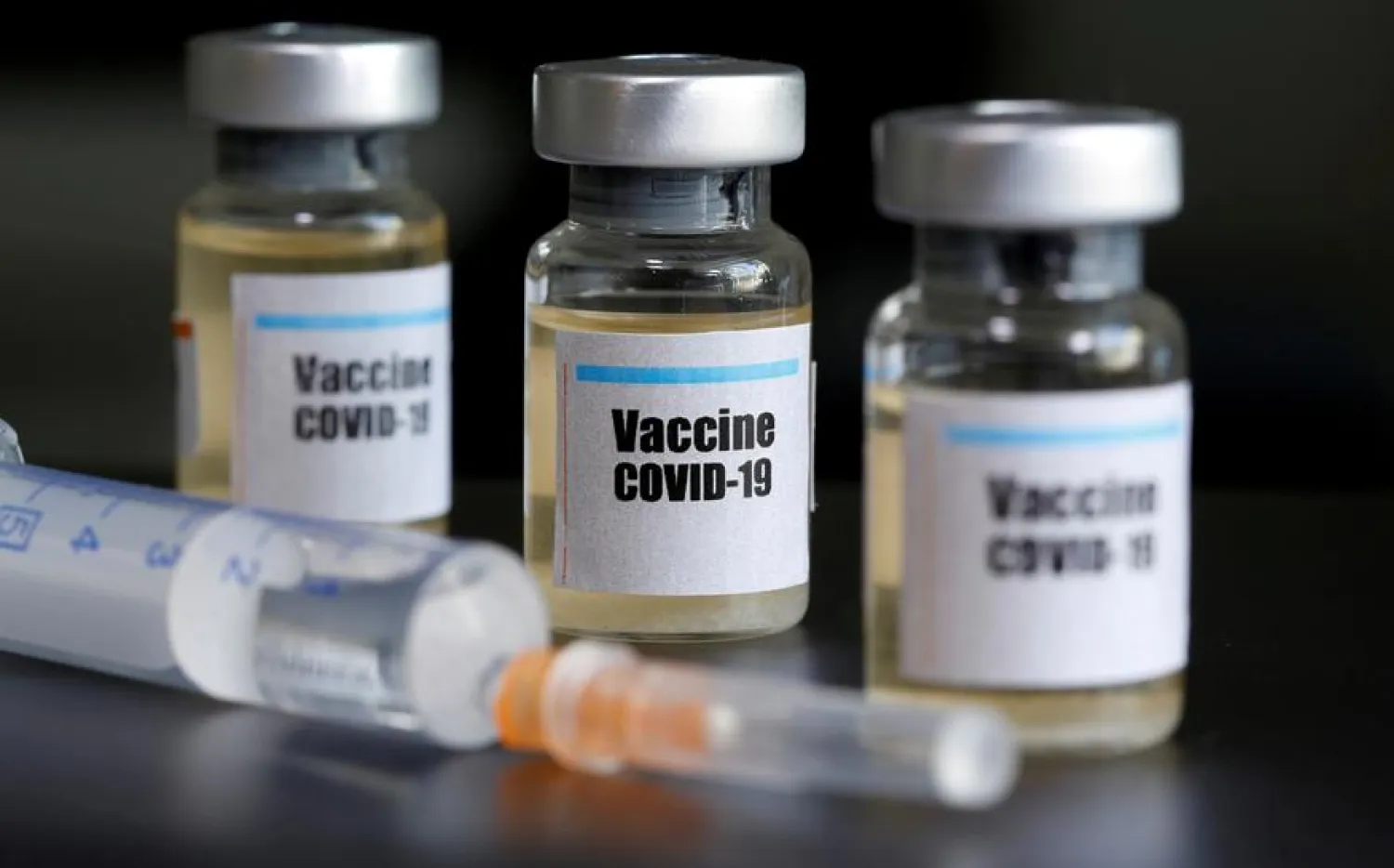 FILE PHOTO: Small bottles labeled with a "Vaccine COVID-19" sticker and a medical syringe are seen in this illustration taken taken April 10, 2020. REUTERS/Dado Ruvic/File Photo
