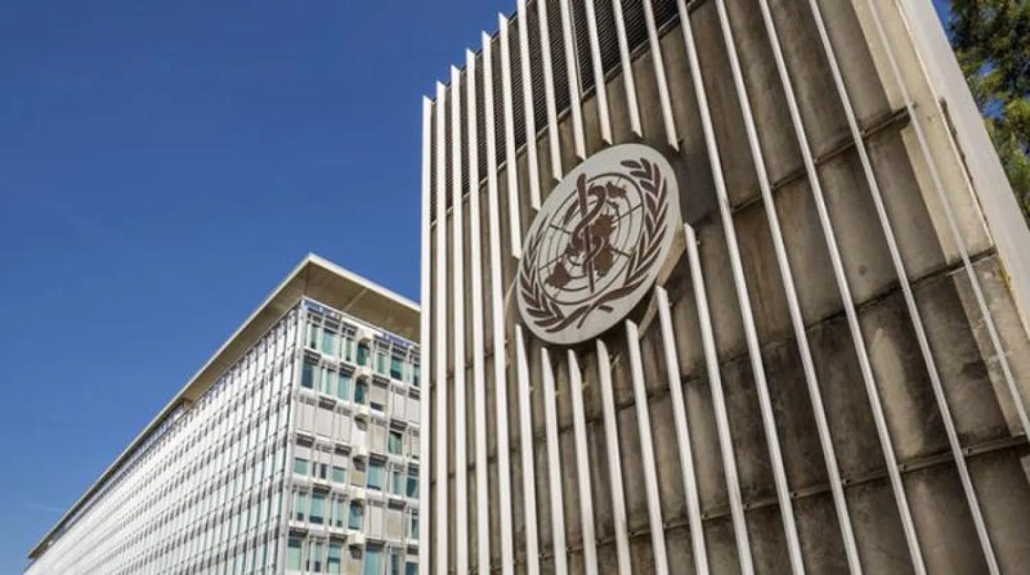 تحذير علمي من الإفراط في التفاؤل وتنبيه إلى مخاطر الطفرات الجديدة