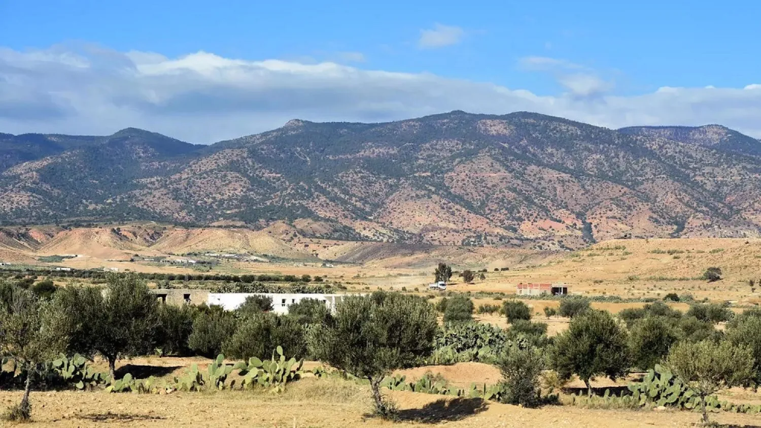 The soldiers were killed while patrolling the mountainous Moghila area located between Kasserine and the central Tunisian town of Sidi Bouzid. (AFP file photo)