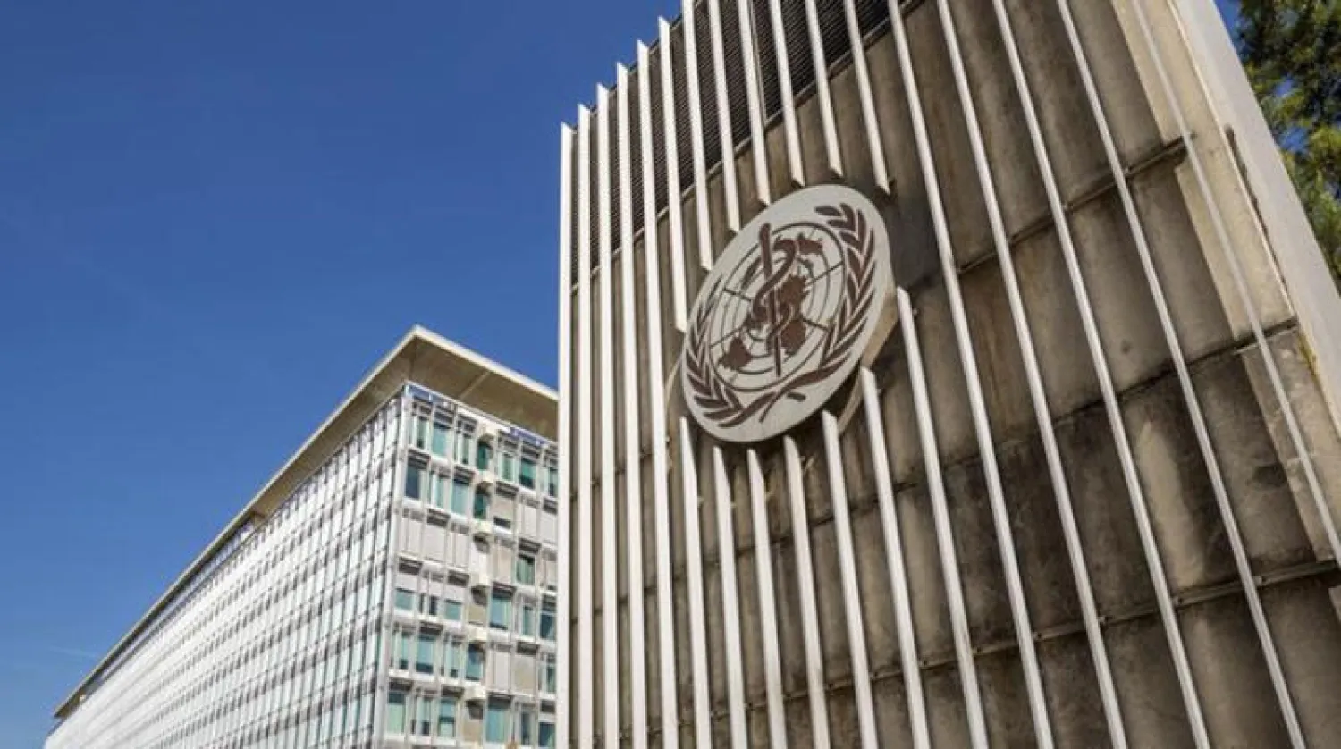 «الصحة العالمية» تبحث فاعلية لقاح «أكسفورد»