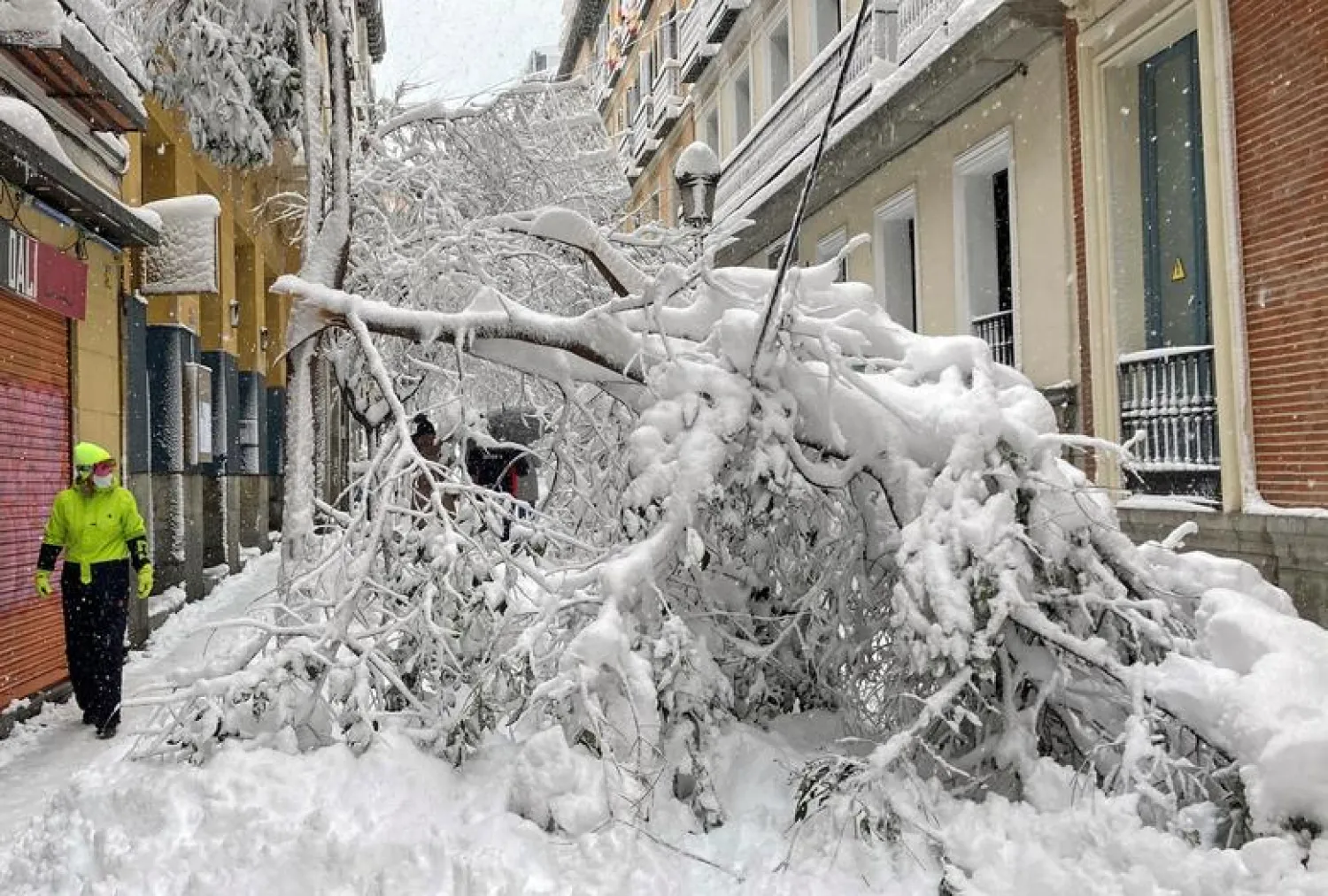 A man walks past trees fallen on a street, during a heavy snowfall in the center of Madrid, Spain January 9. REUTERS/Ingrid Melander    
