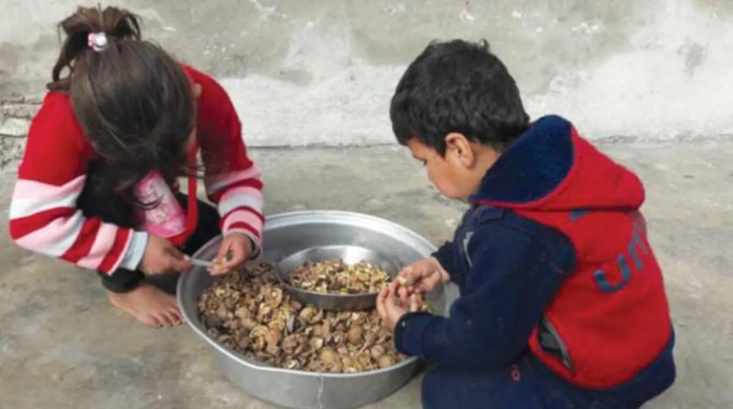 A boy and girl shell nuts to raise money in Idlib countryside, northwestern Syria. (Asharq Al-Awsat)