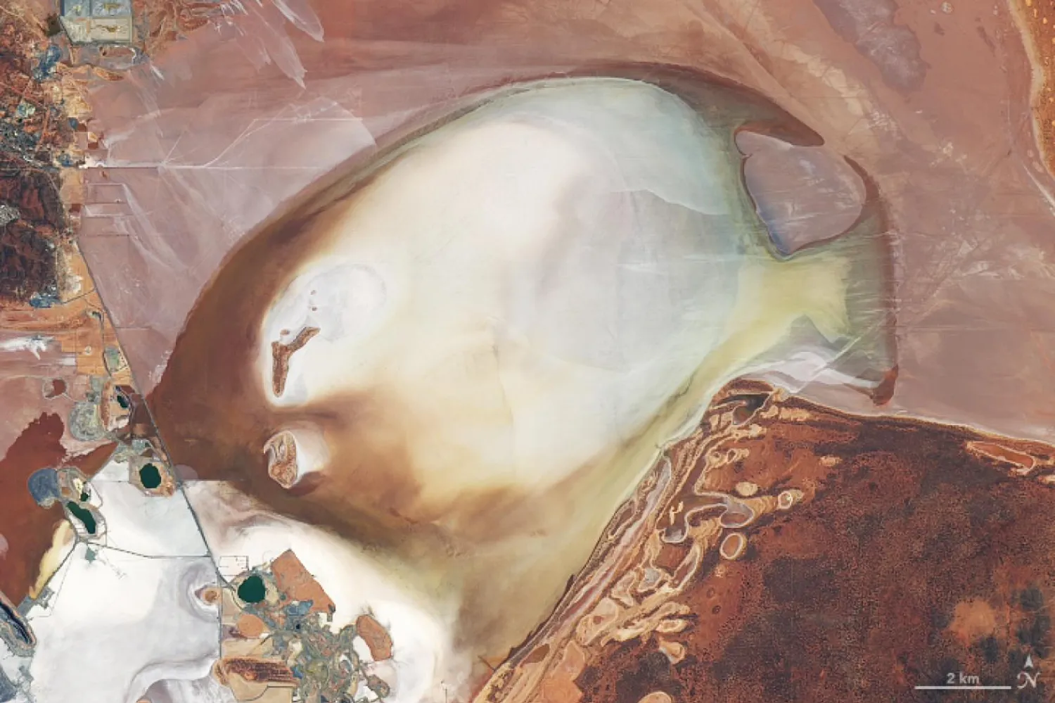 Avustralya'da balık şeklini alan tuz gölünün yılın kurak mevsimlerinde tamamen kuruduğu ifade ediliyor (NASA)