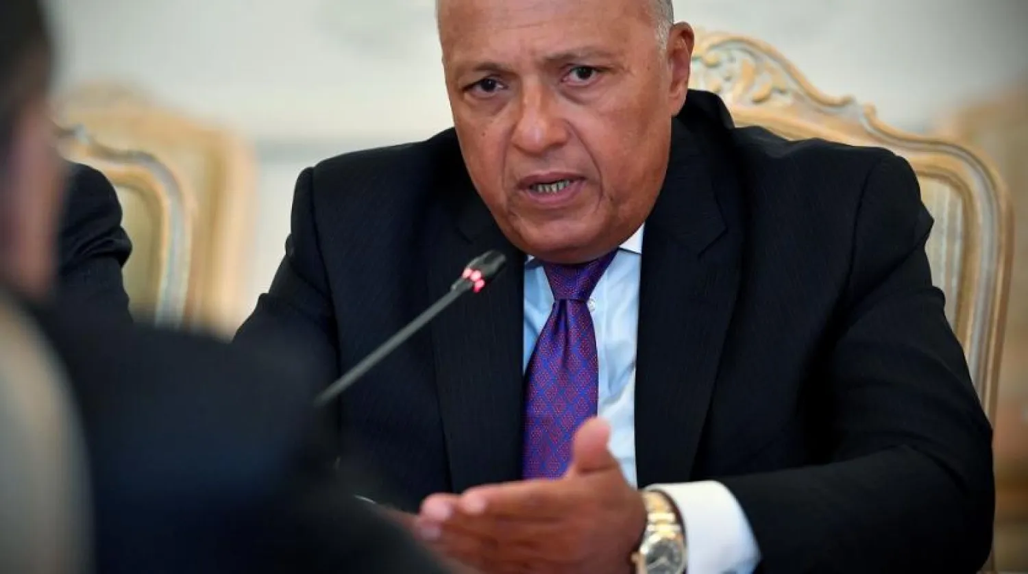 Egyptian Foreign Minister Sameh Shoukry. (AFP file photo)

