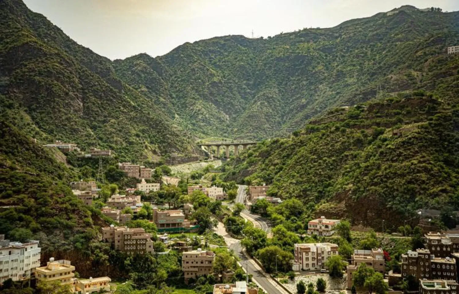 شركة السودة تعمل على تطوير منطقة المشروع الواقعة جنوب السعودية (واس)