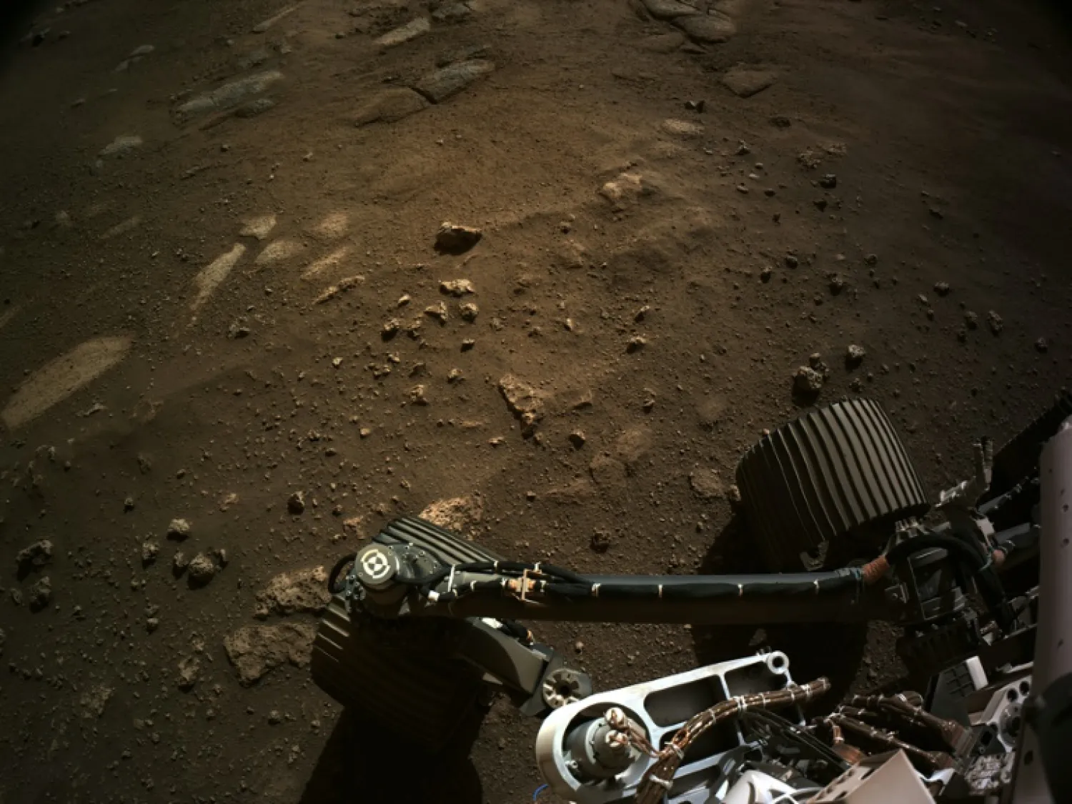 NASA released this photo showing the Perseverance rover on Mars | AFP