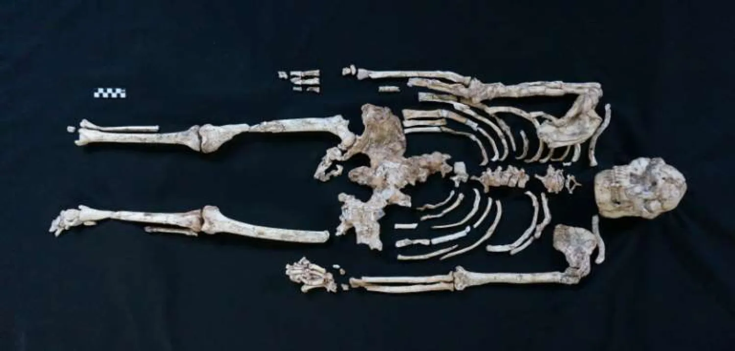 A handout photo of a skeleton of Little Foot in Sterkfontein |  Reuters/RJ CLARKE 