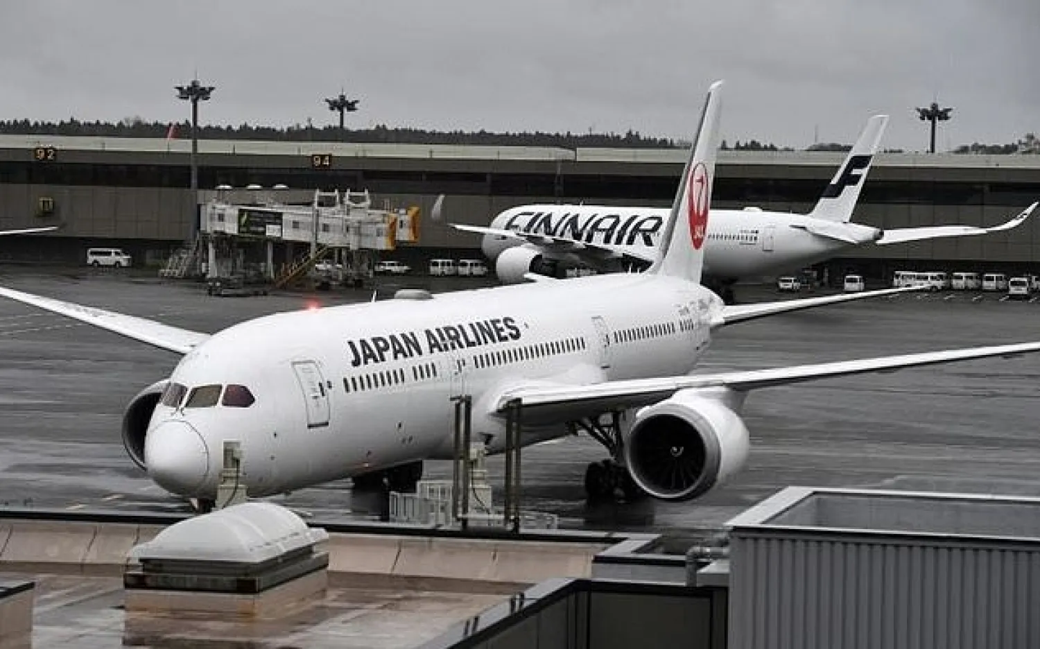 The pair landed at Narita airport outside Tokyo, Japanese media said - AFP