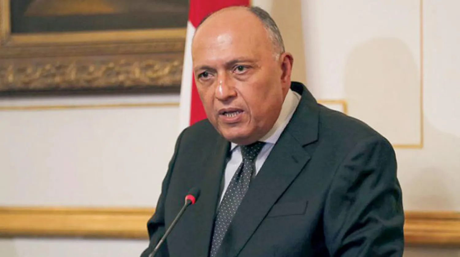 سامح شكري (رويترز)