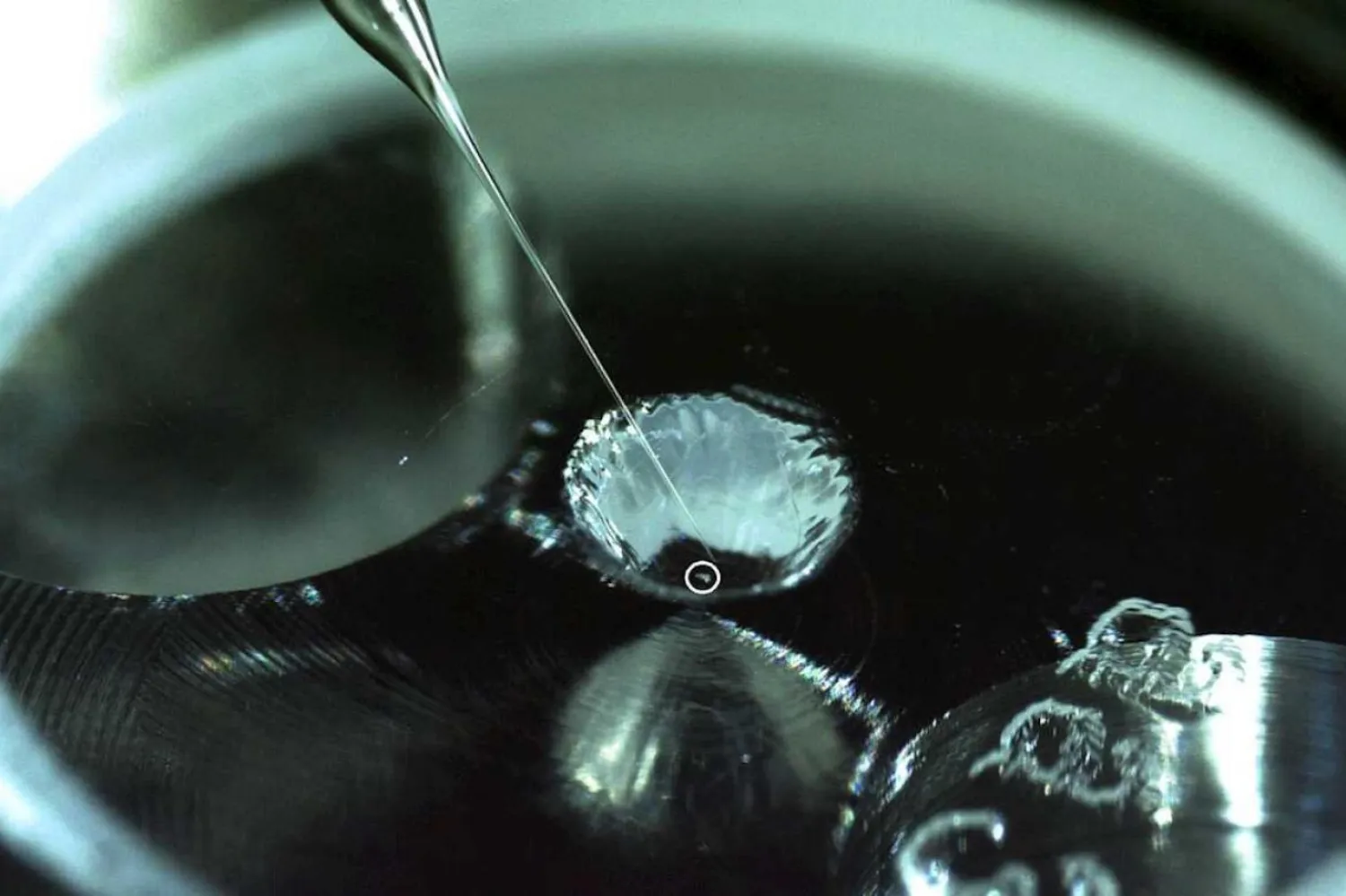 Bilim insanları çalışmalarının, uzaydan getirilen karbonlu maddelerin ayrıntılı analizinin yolunu açtığını söyledi (Japonya Uzay Araştırma Ajansı)