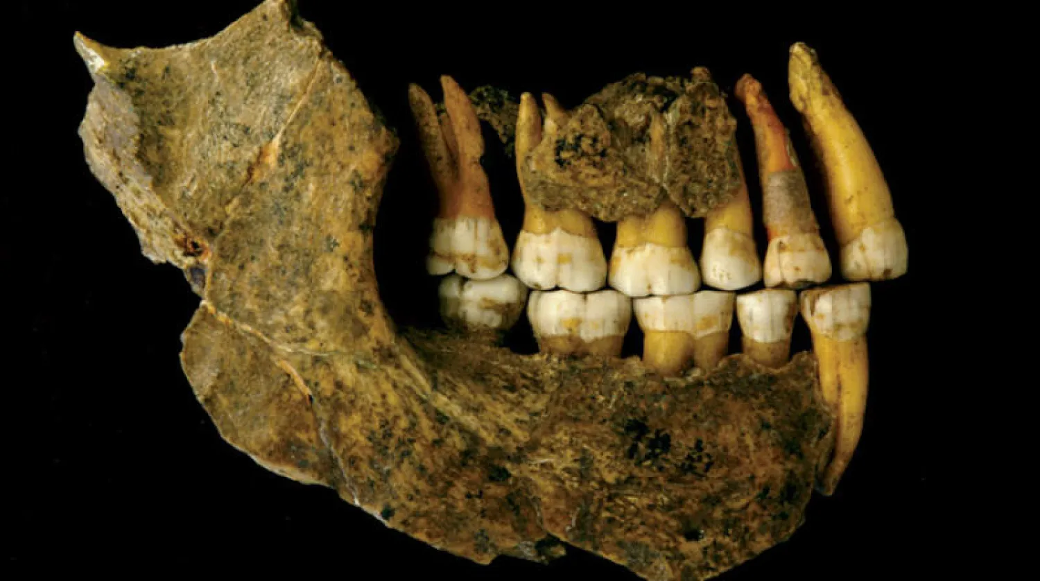 بقايا بشرية عُثر عليها لإنسان نياندرتال (أ.ف.ب)
