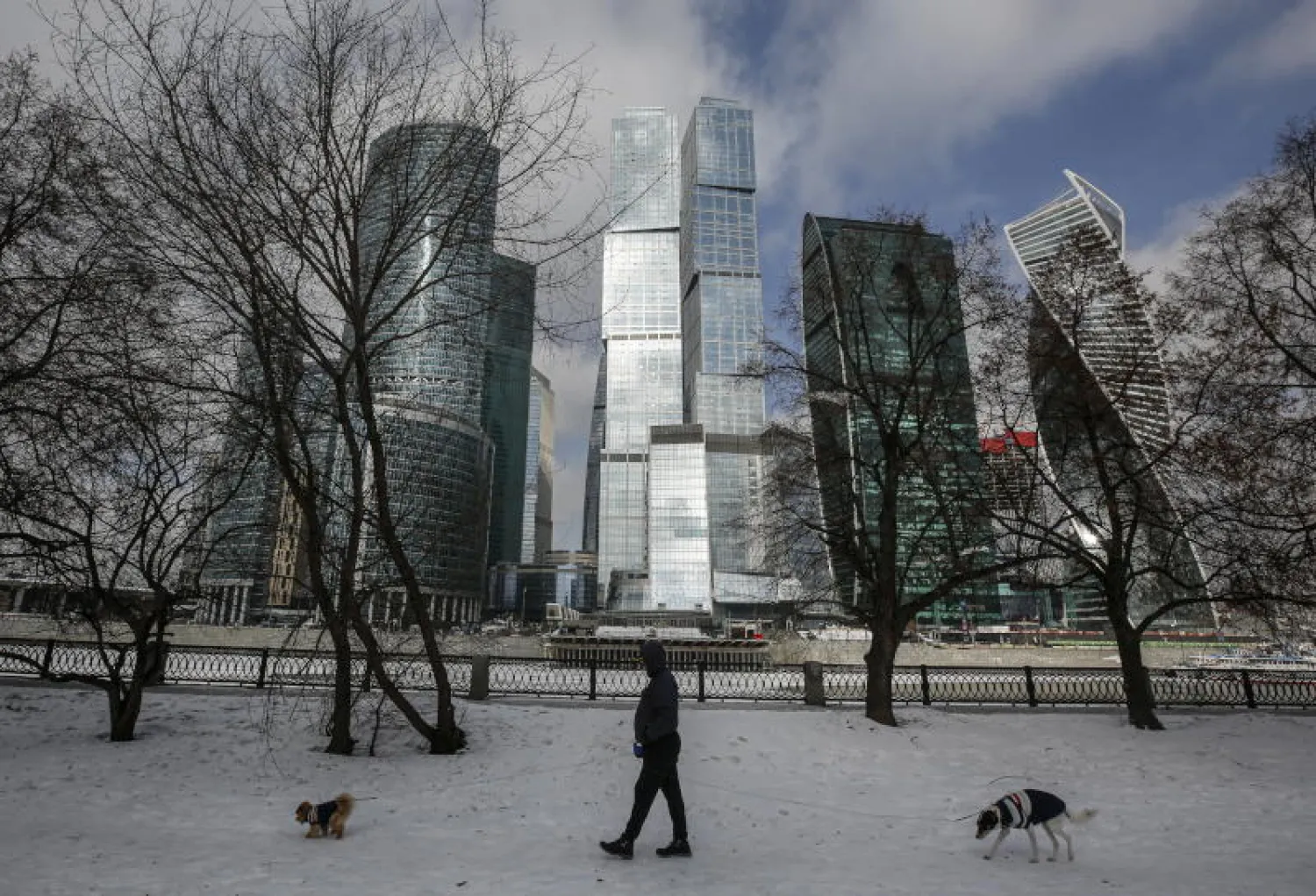 رجل ينزّه كلبيه في إحدى الحدائق العامة بموسكو (إ.ب.أ)