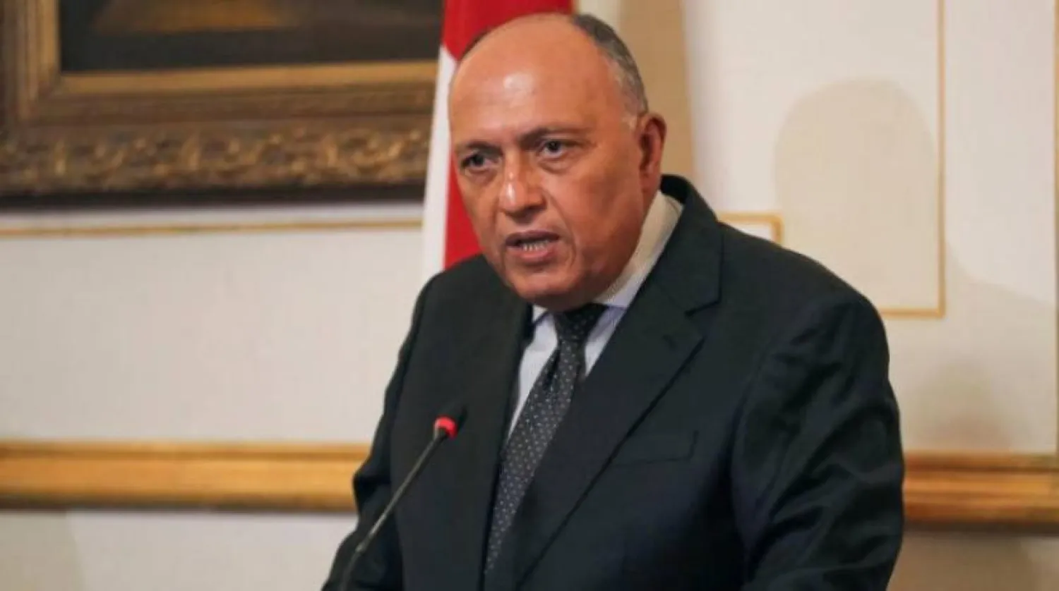  Egyptian Foreign Minister Sameh Shoukry - Reuters