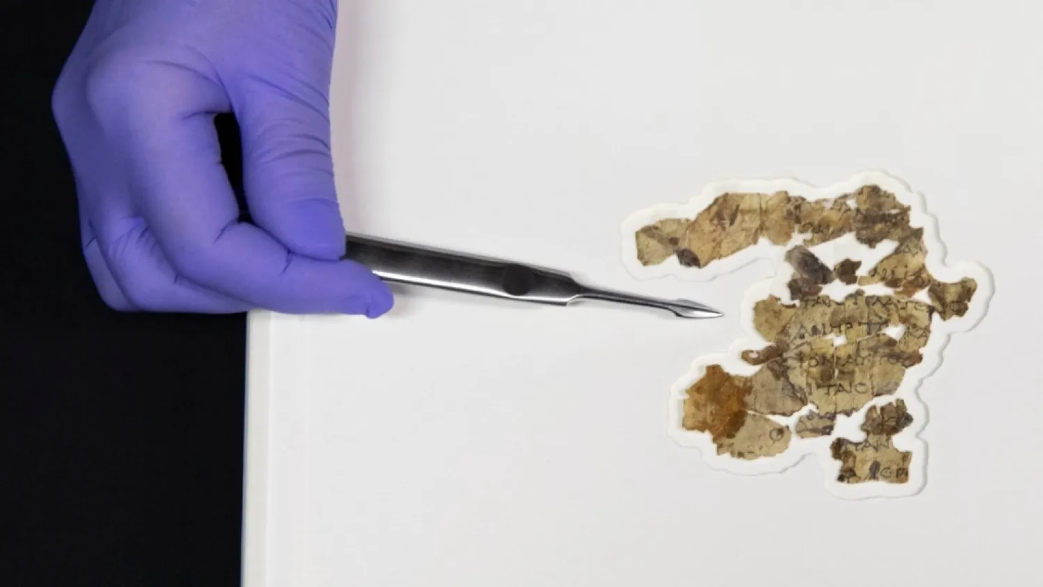 Israel Antiquities Authority conservator Tanya Bitler shows newly discovered Dead Sea Scroll fragments at the Dead Sea scrolls conservation lab in Jerusalem, on March 16, 2021. (Sebastian Scheiner / AP)