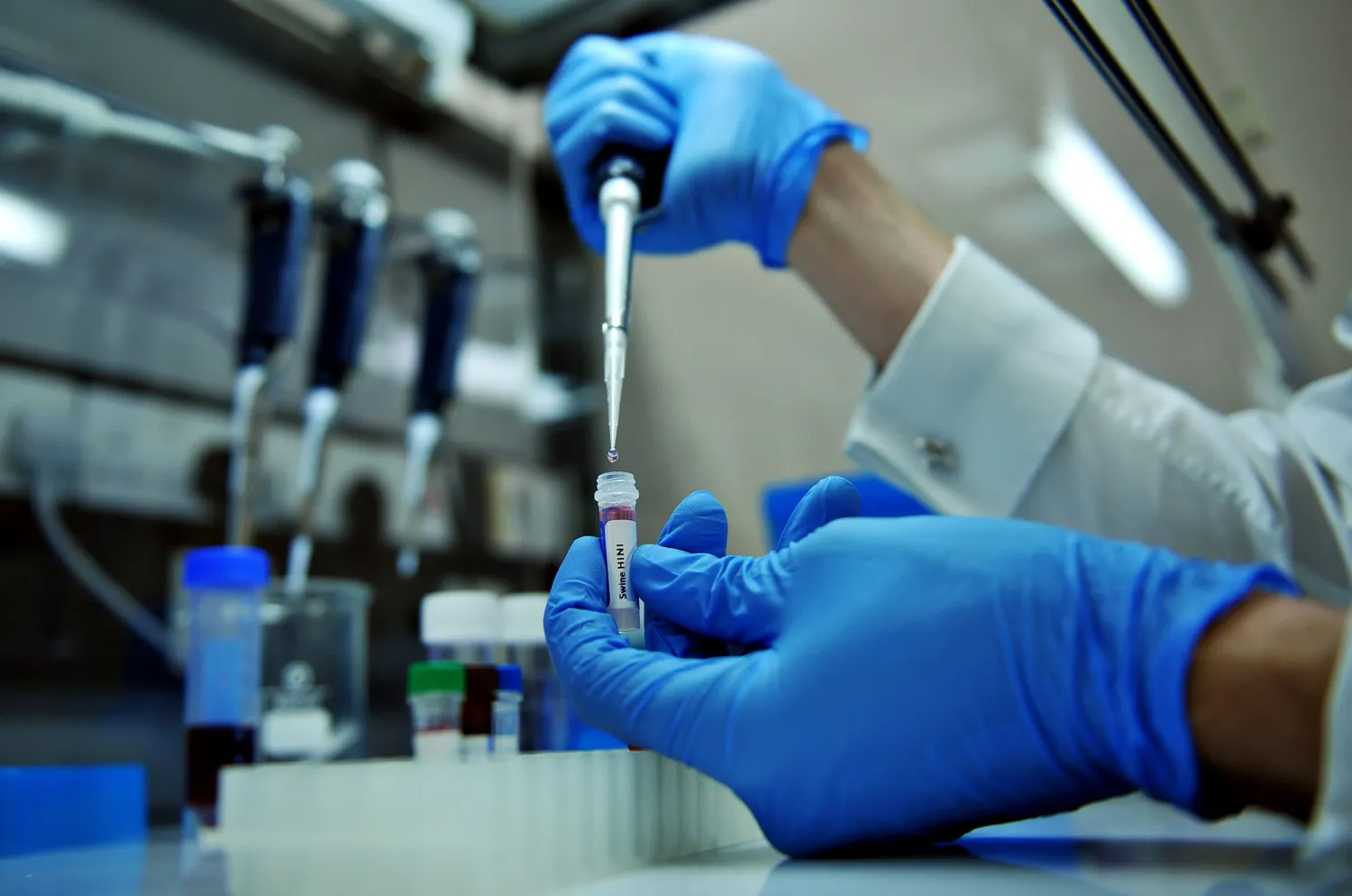  A doctor prepares a sample of DNA. Photo: Leon Neal, AFP.
