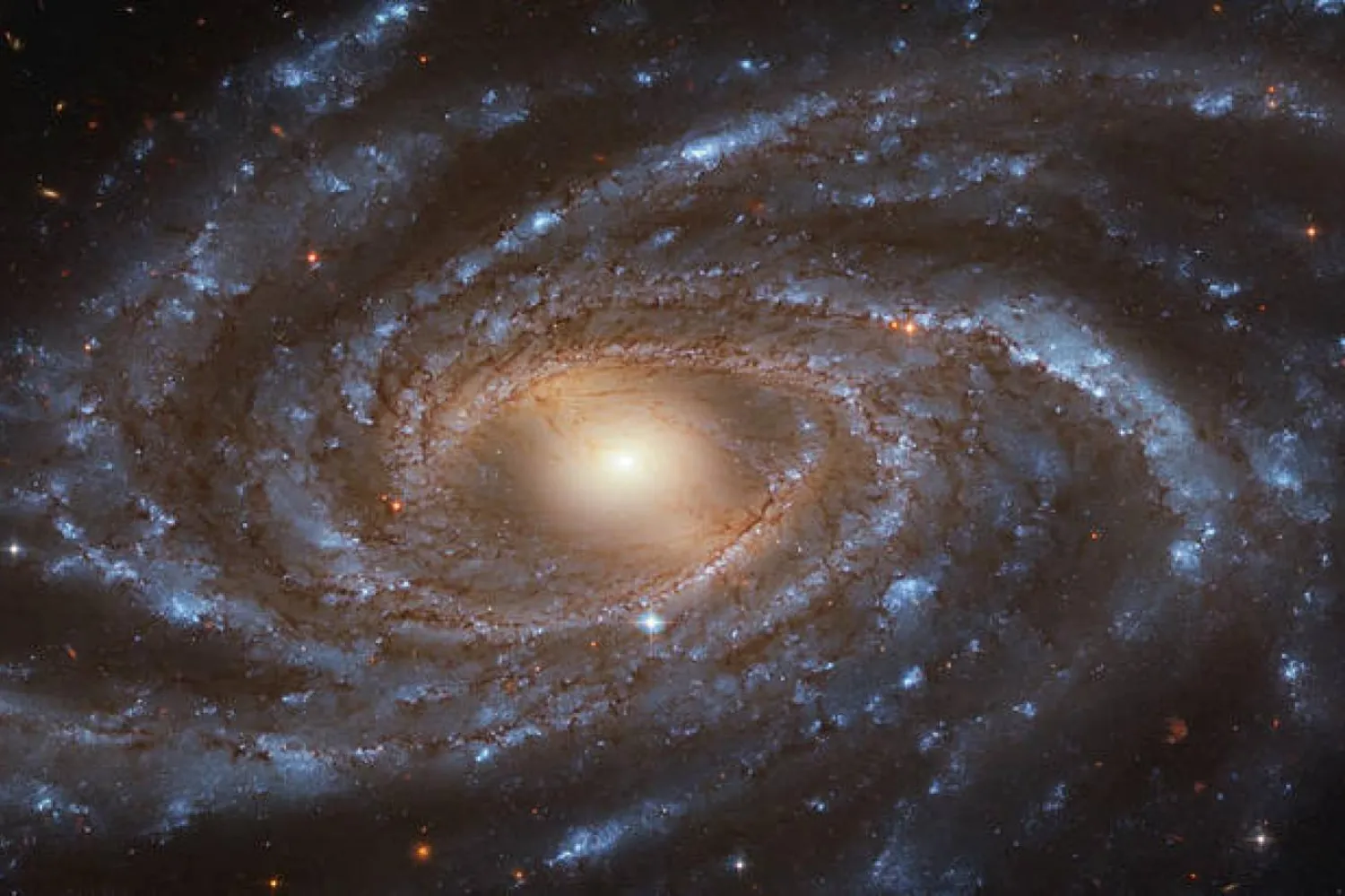 NGC 2336, kendi ismiyle anılan küçük bir gökada grubunda yer alıyor (NASA)
