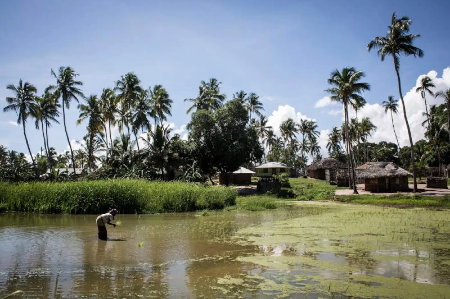منظر عام لمدينة بالما في شمال موزمبيق (أ.ف.ب)