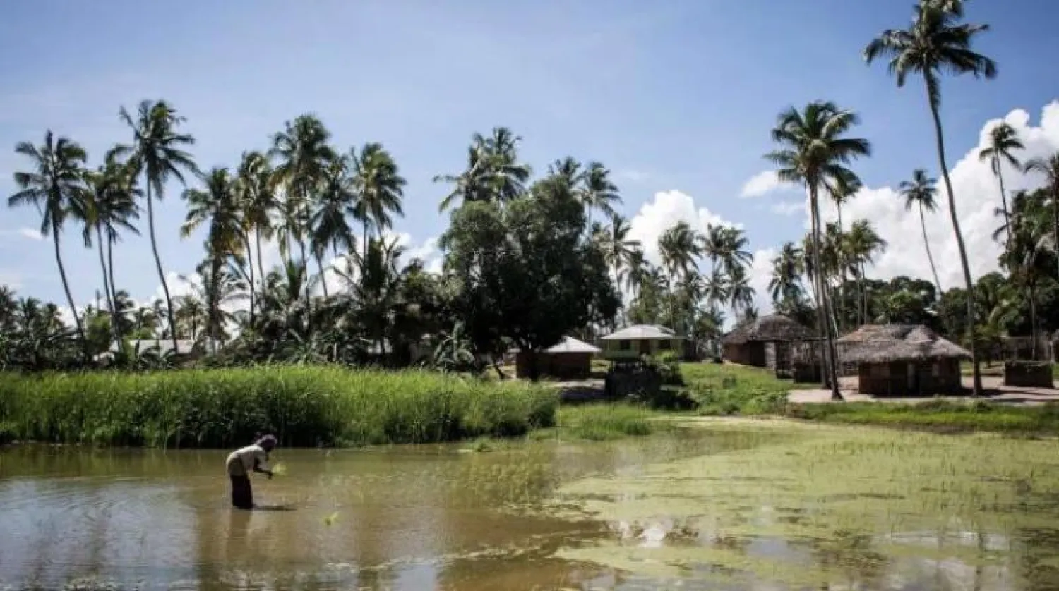 مدينة بالما في شمال موزمبيق (أ.ف.ب)