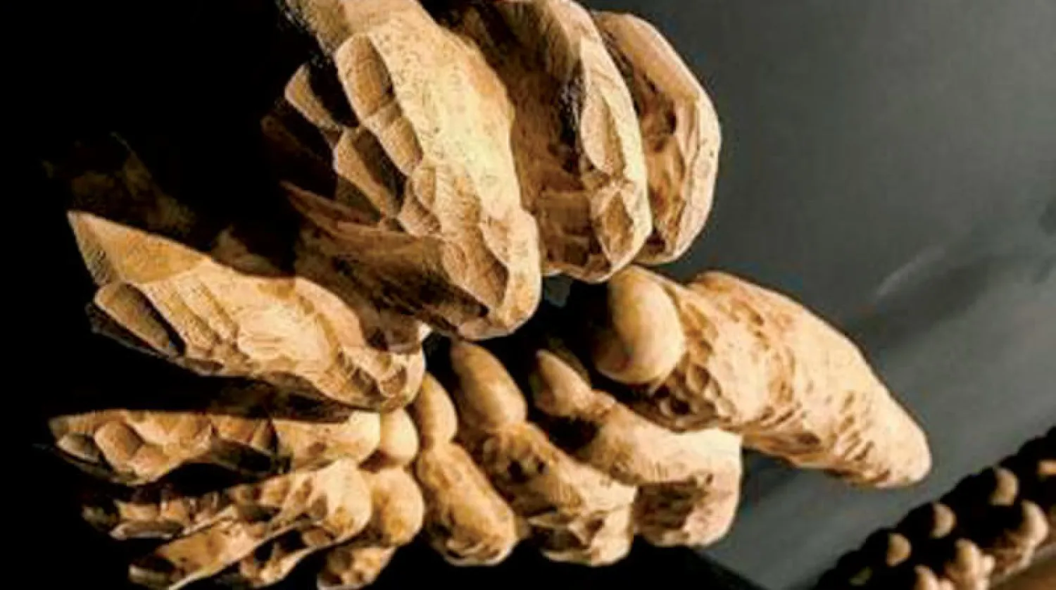 عرض حوراني في غاليري صالح بركات يستمر لغاية 15 مايو