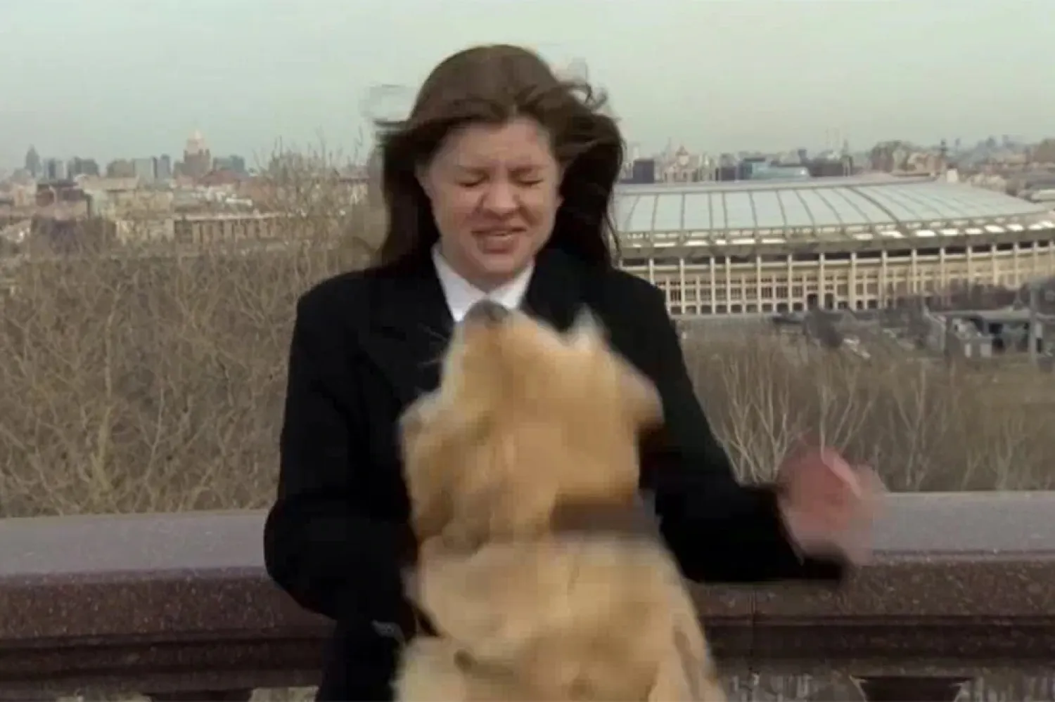 The moment the dog grabs the reporter's mic and runs off. (Mir TV via Reuters​)