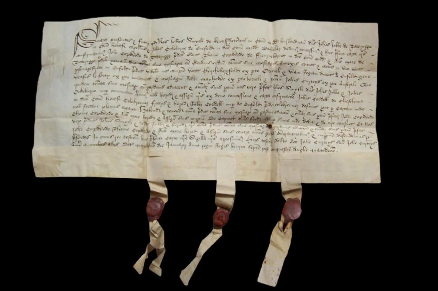 15 Ocak 1499'da imzalanmış ve mühürlenmiş bu belge, arazi mülkiyetini garanti altına alan bir tapu (Dave Lee / Science News)
