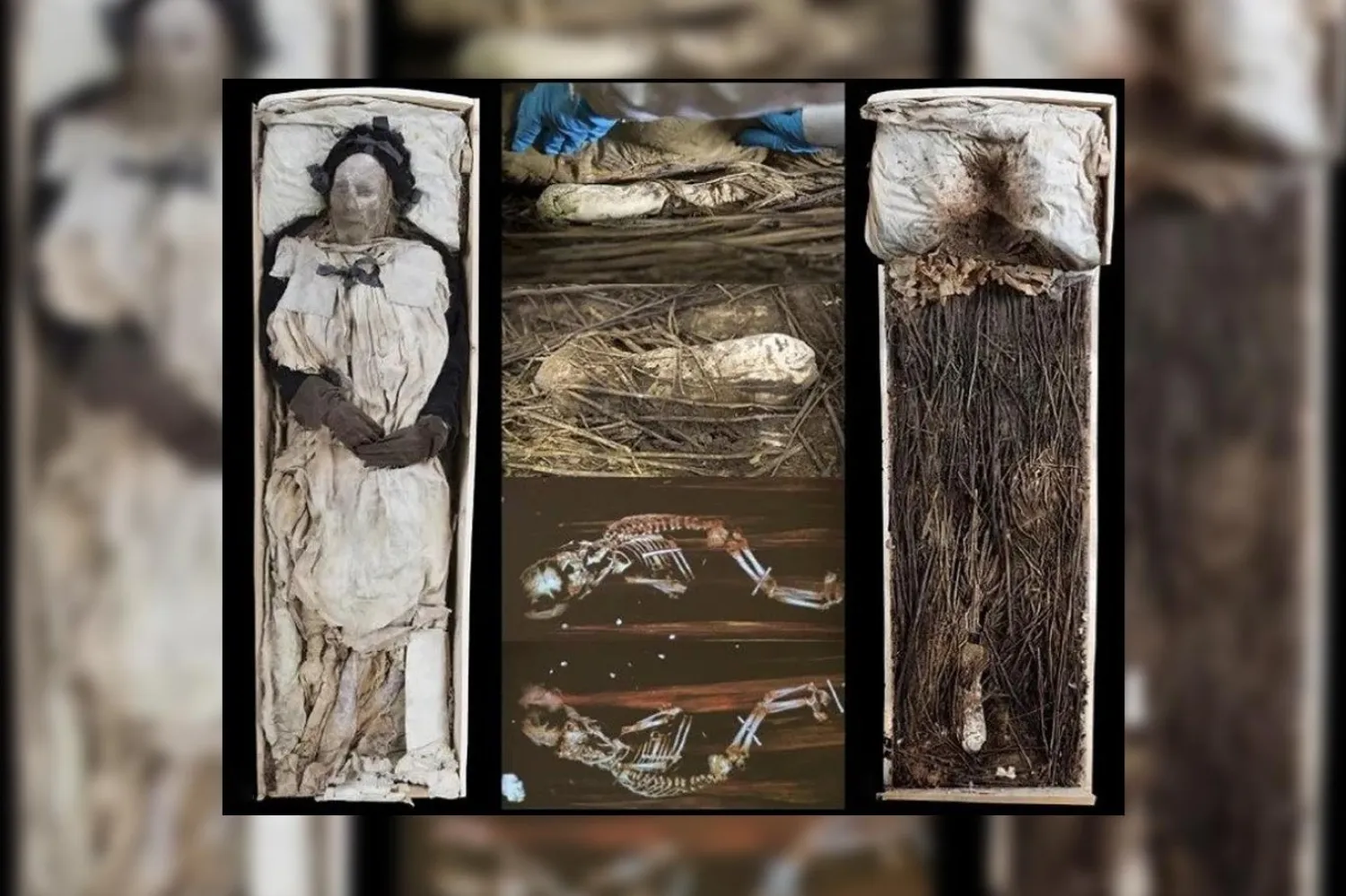 Fetüs, piskoposun ayak ucuna yerleştirilmişti (Journal of Archaeological Science: Reports)