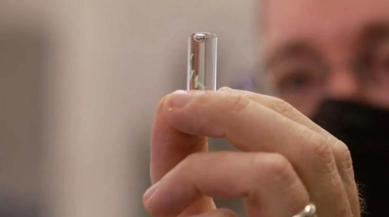 Pentagon’a bağlı ekip tarafından geliştirilen mikroçipler (Daily Mail)