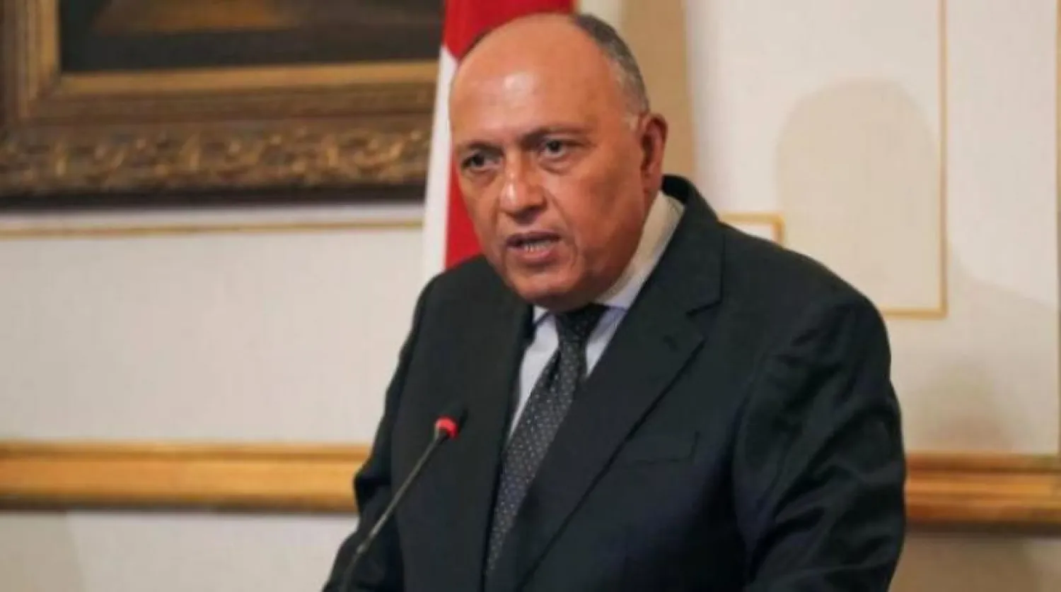 Egyptian Foreign Minister Sameh Shukri. Asharq Al-Awsat file photo