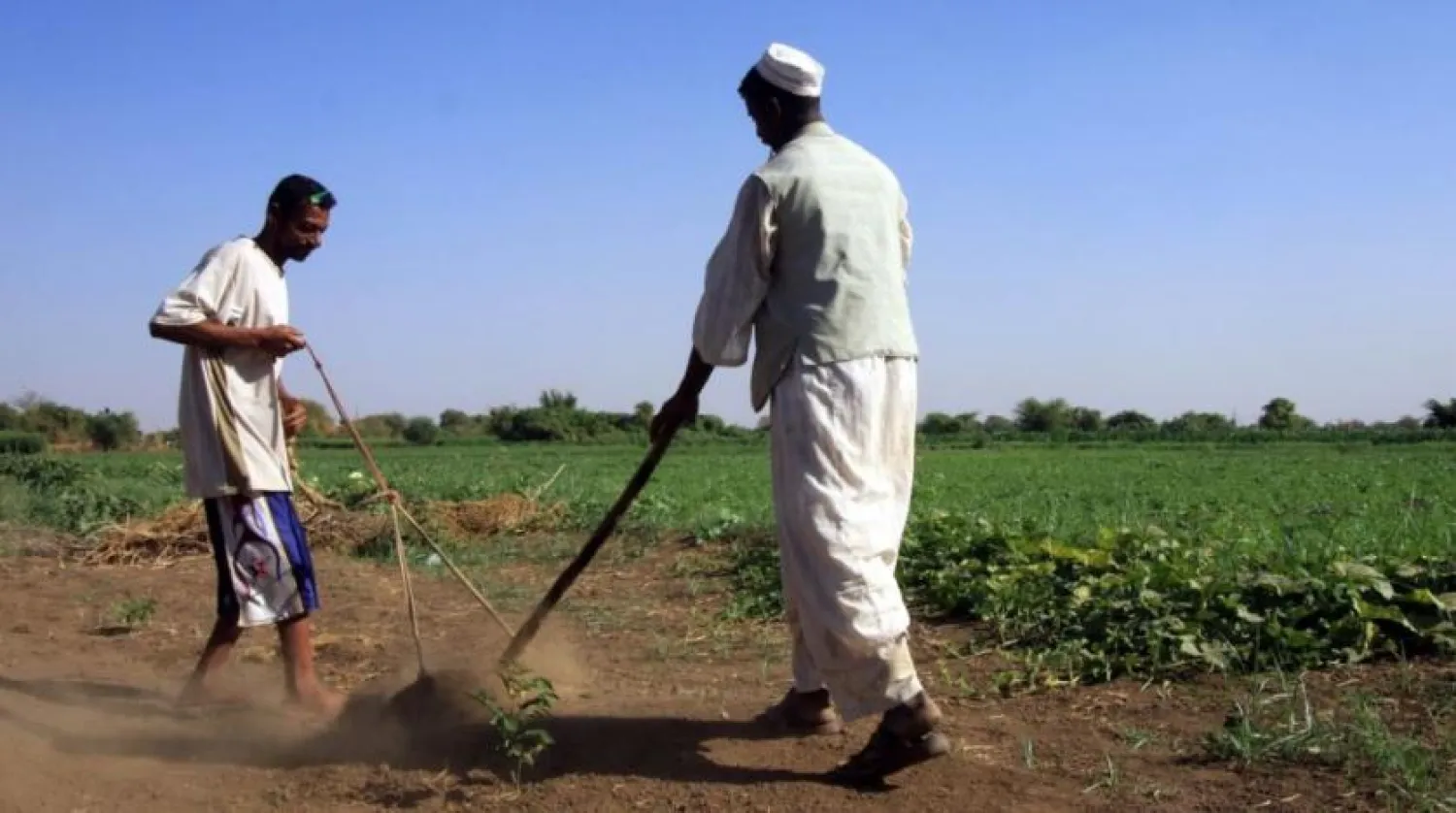 Sudanese farmers prepare their land for agriculture on the banks of the river Nile in Khartoum. (Reuters)
