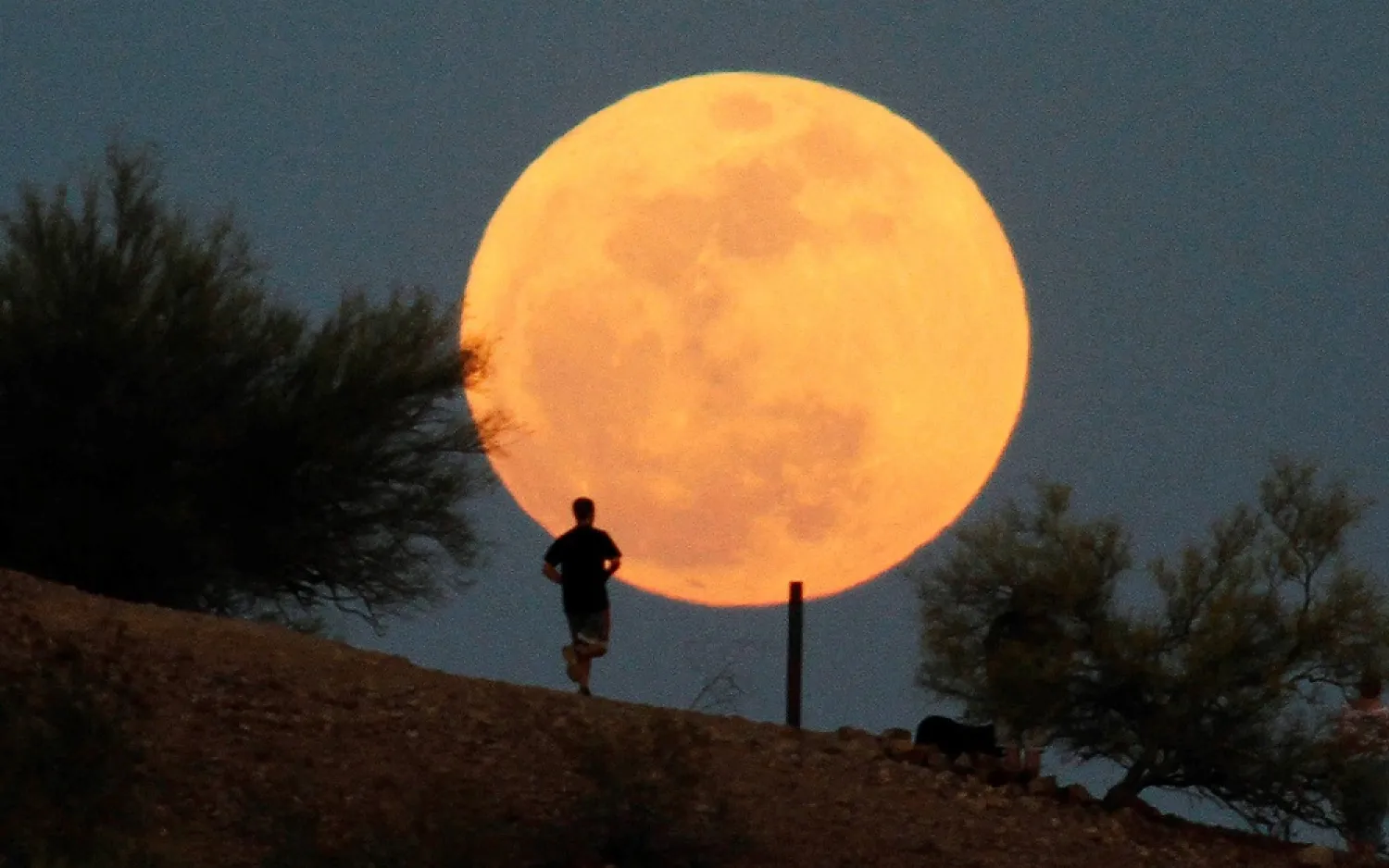 A runner makes his way along a trail on a butte in front of the supermoon over Papago Park in Phoenix in May 2012. (Reuters)