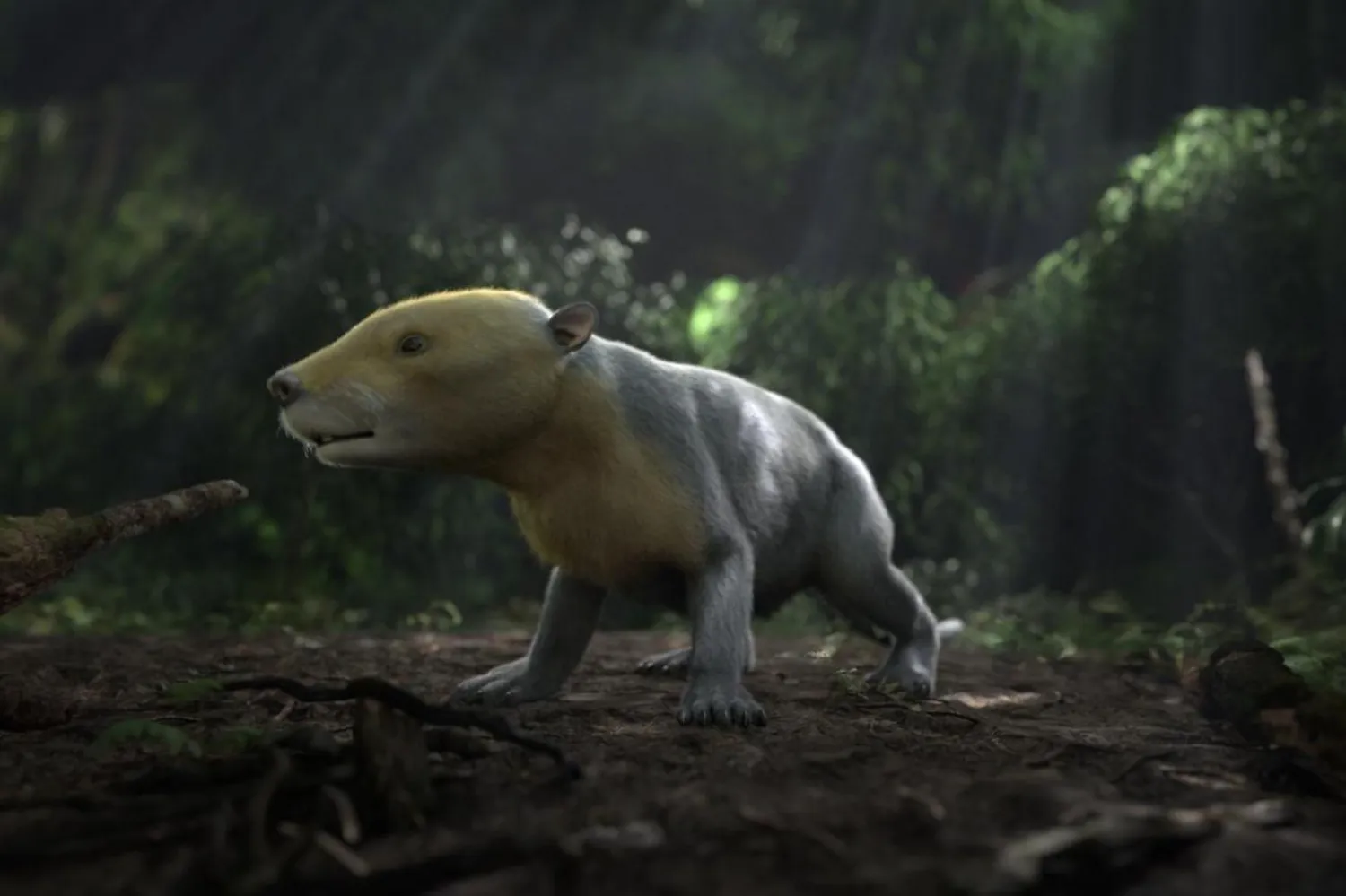 Dinazorların aniden yok olmasının ardından Dünya'da yaşamış memeli türlerinden taeniolabis'in tasviri (Reuters)