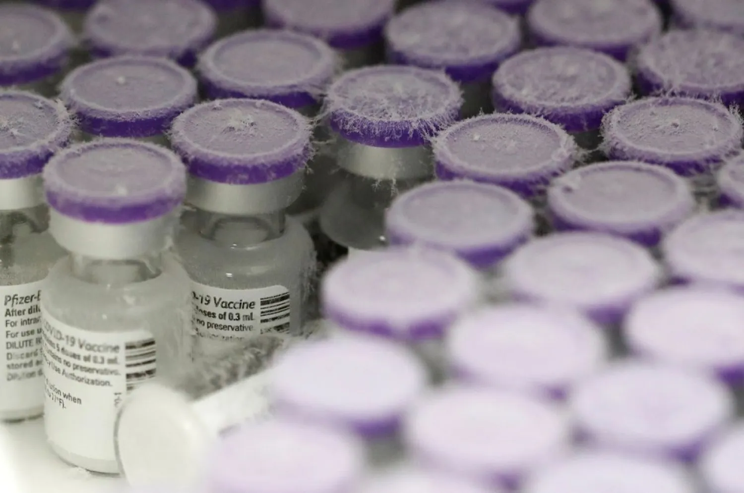 Vials of the Pfizer-BioNTech Covid-19 vaccine are pictured in an ultra-low temperature freezer at the hospital in Le Mans, in France, January 14, 2021. (Reuters)