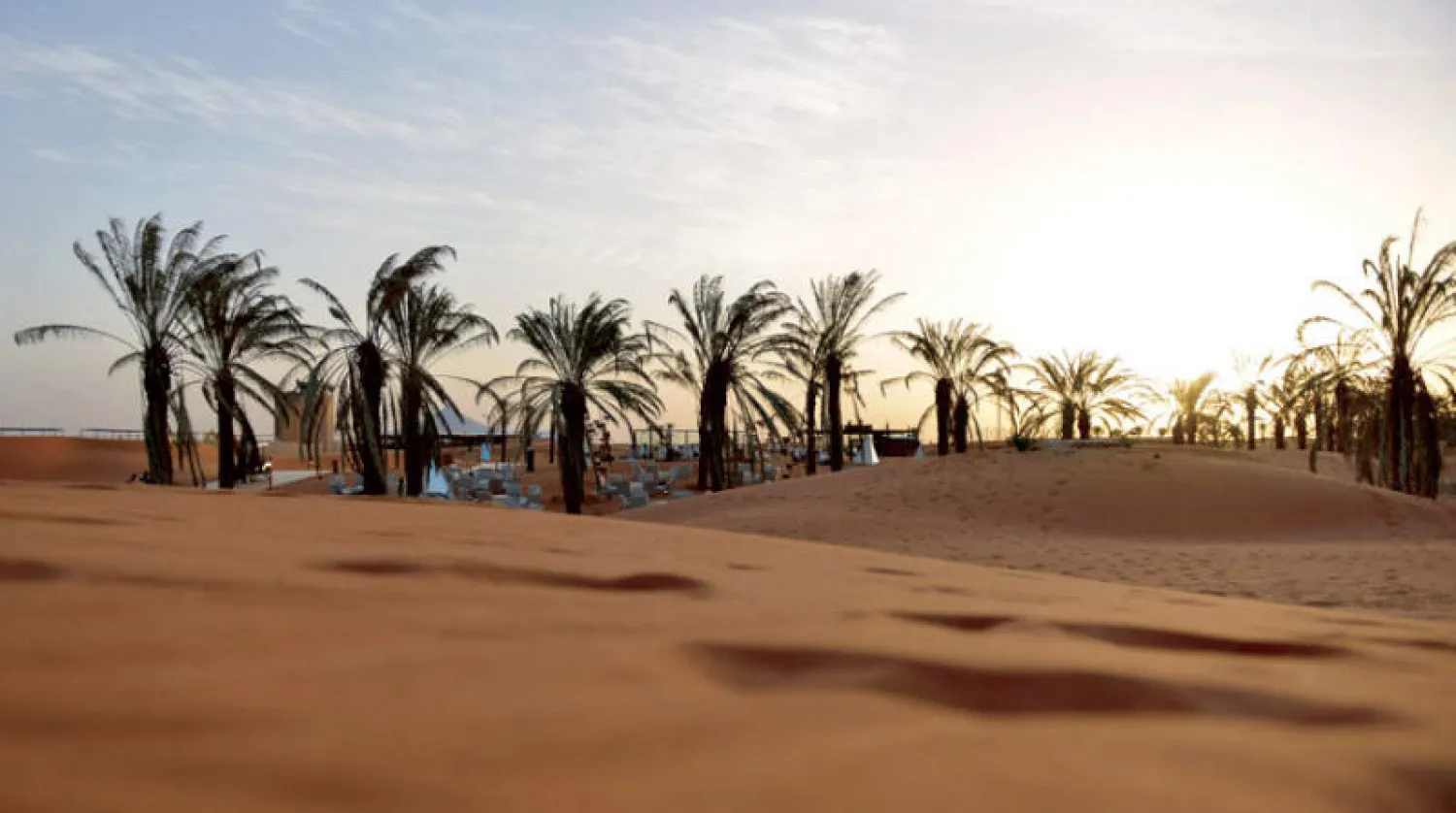 «الشرق الأوسط الأخضر»... استثمار في الطبيعة لا مجرد حملة ضخمة لزراعة الأشجار