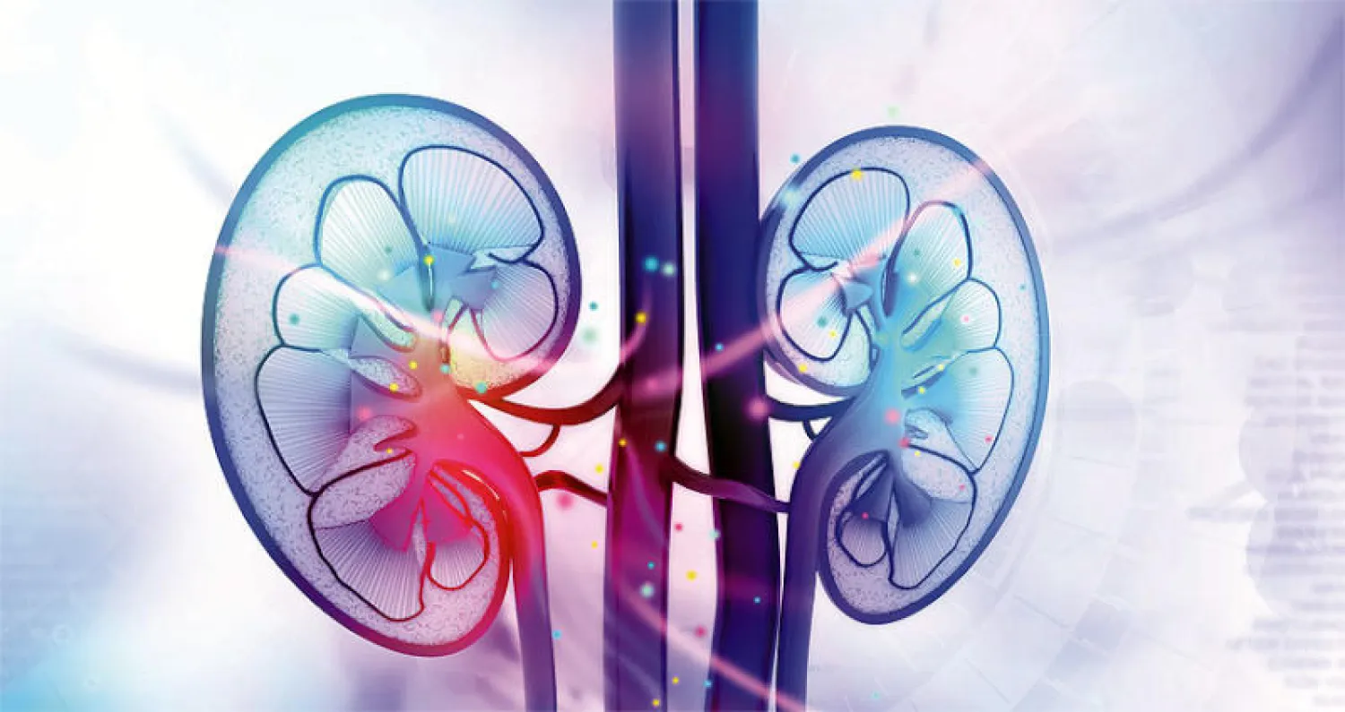 أبحاث «كاوست» لتحسين تخصيص الكلى المتبرع بها للمستشفيات