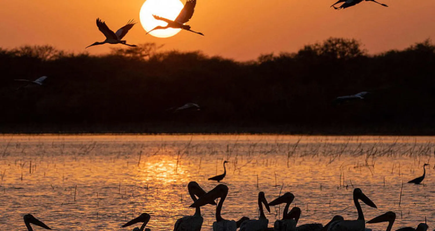يعدّ السودان بكراً في جميع قطاعاته الاقتصادية وينتظر تحسين مناخ الأعمال لجذب الاستثمارات (أ.ف.ب)